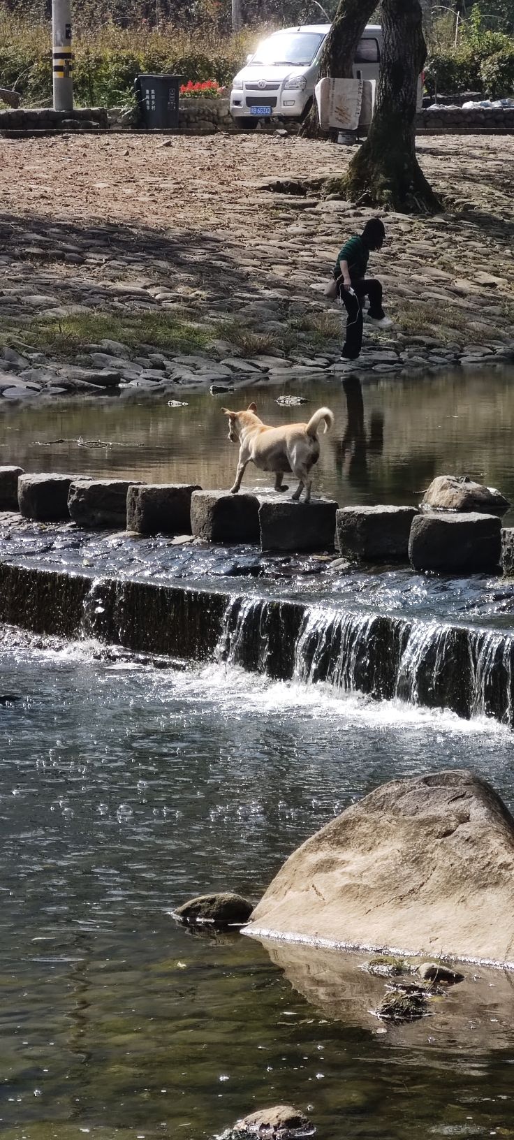 裘岙玻璃道旅行图片 1