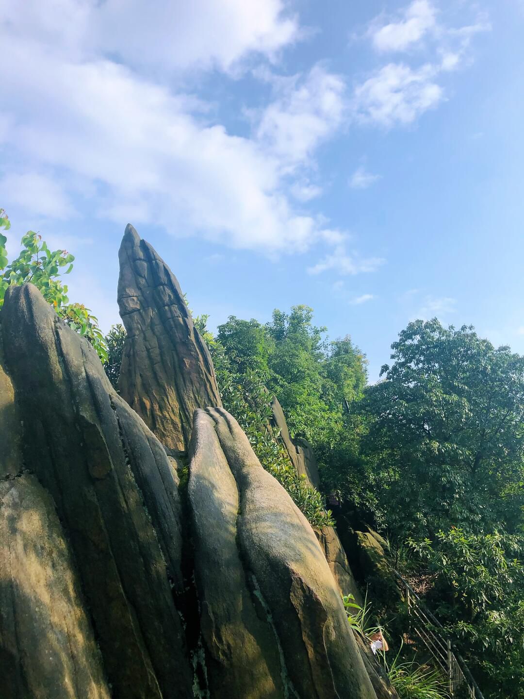 壹华里夜景公园旅行图片 1
