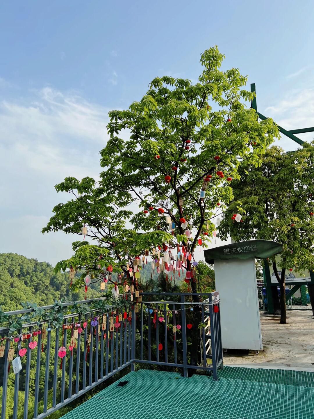 壹华里夜景公园旅行图片 2