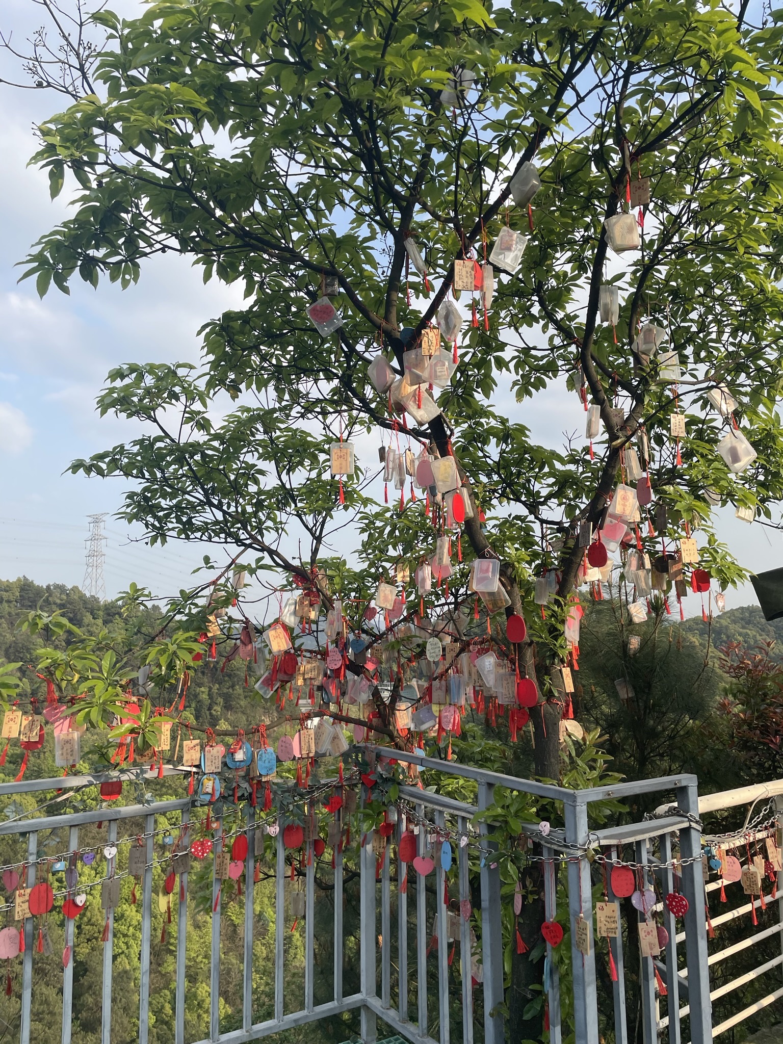 壹华里夜景公园旅行图片 2