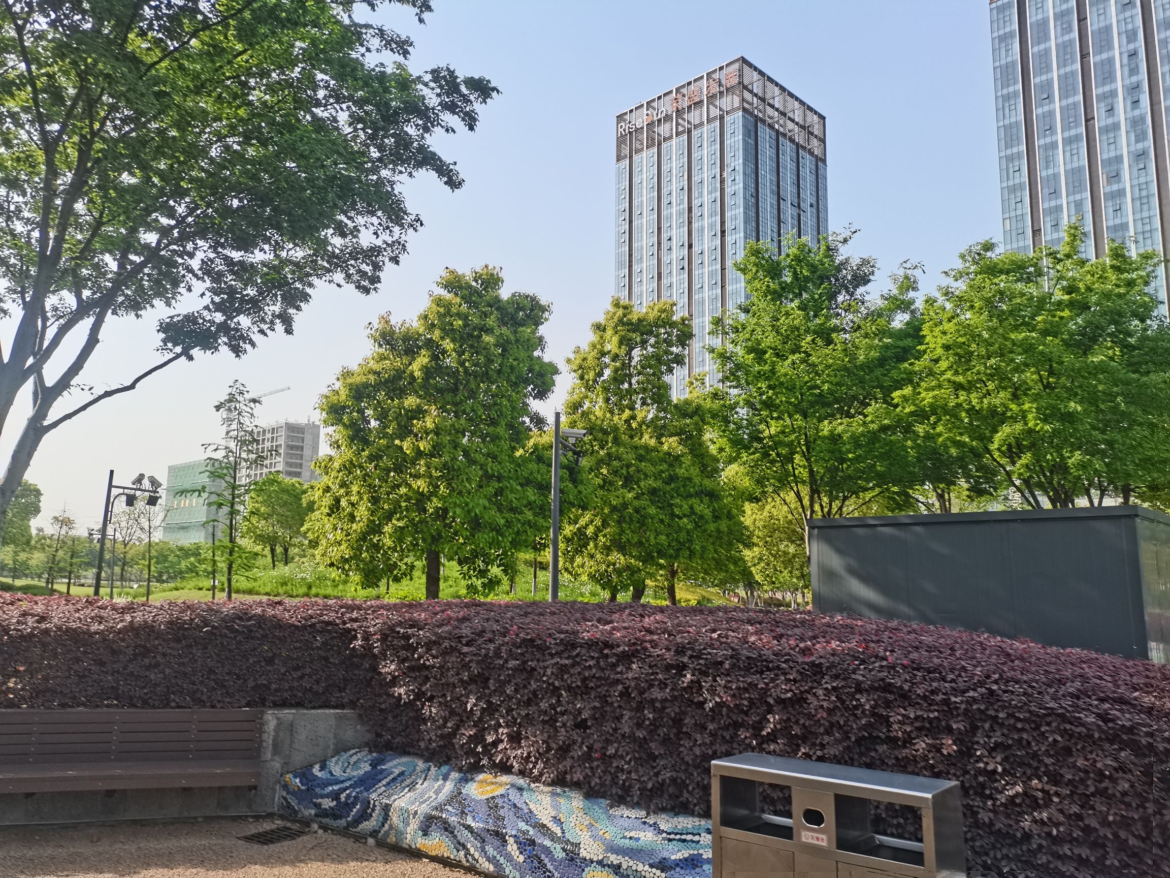 中央公园旅行图片 2