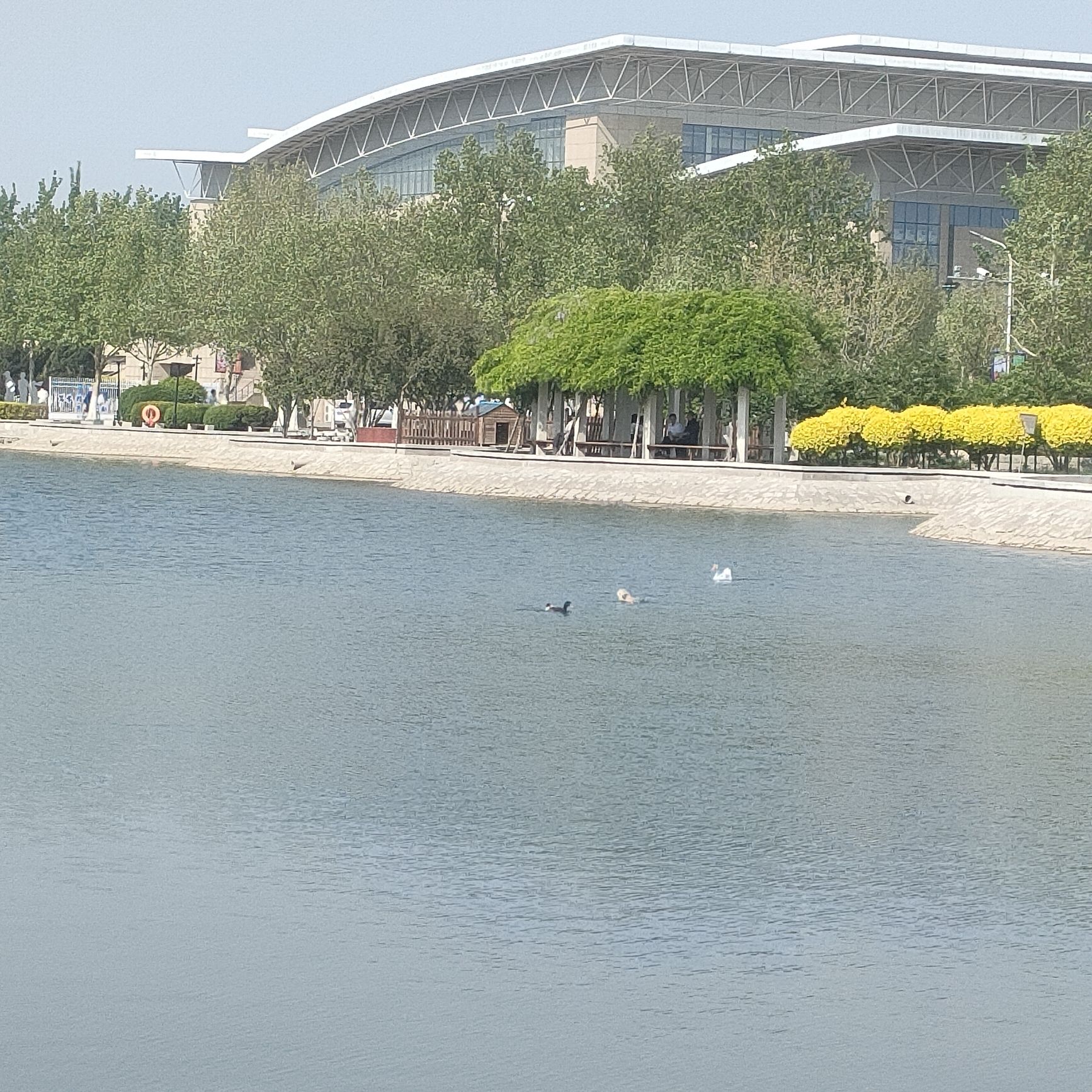 千禧湖旅行图片 2