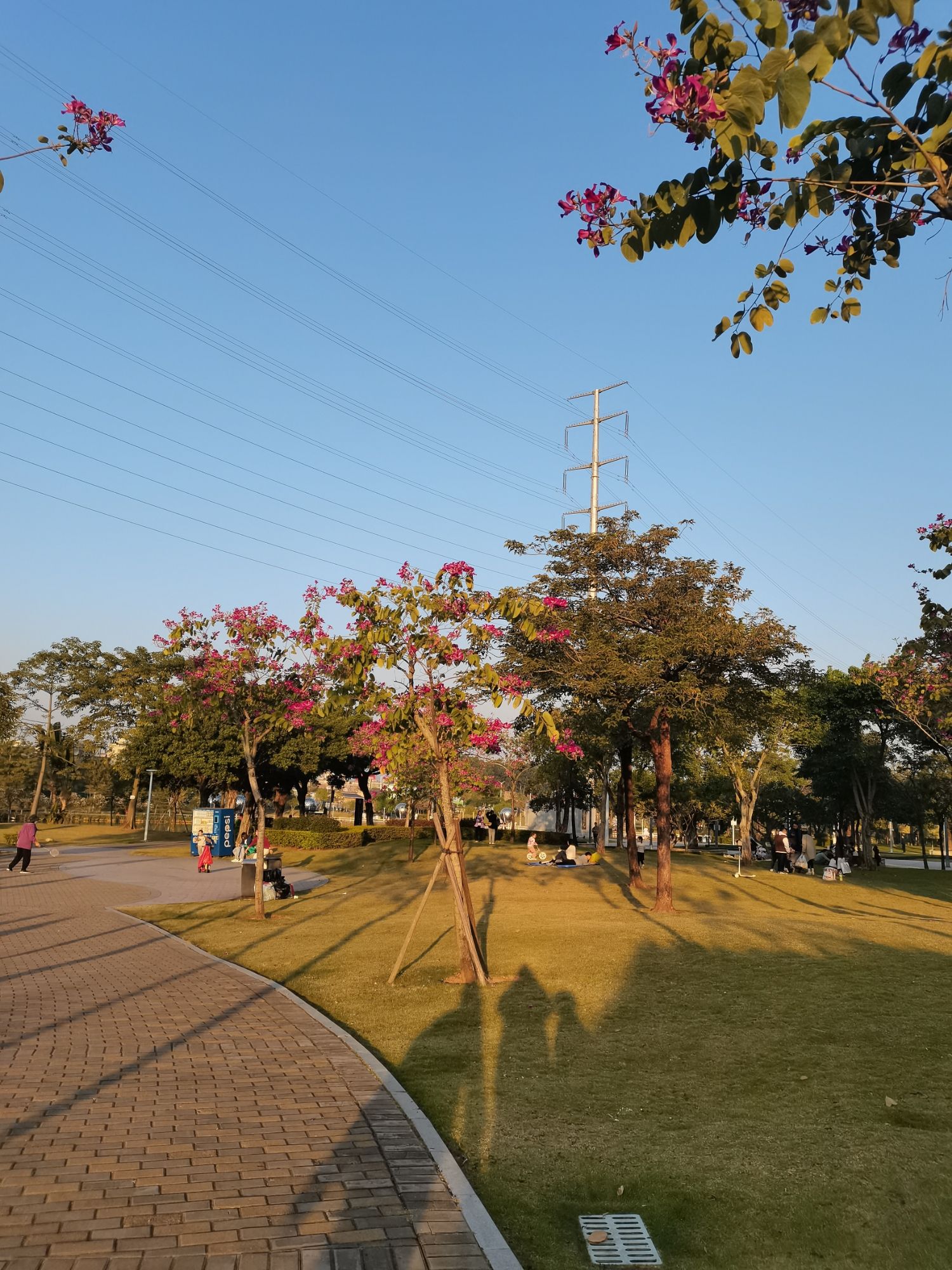 官渡公园旅行图片 2