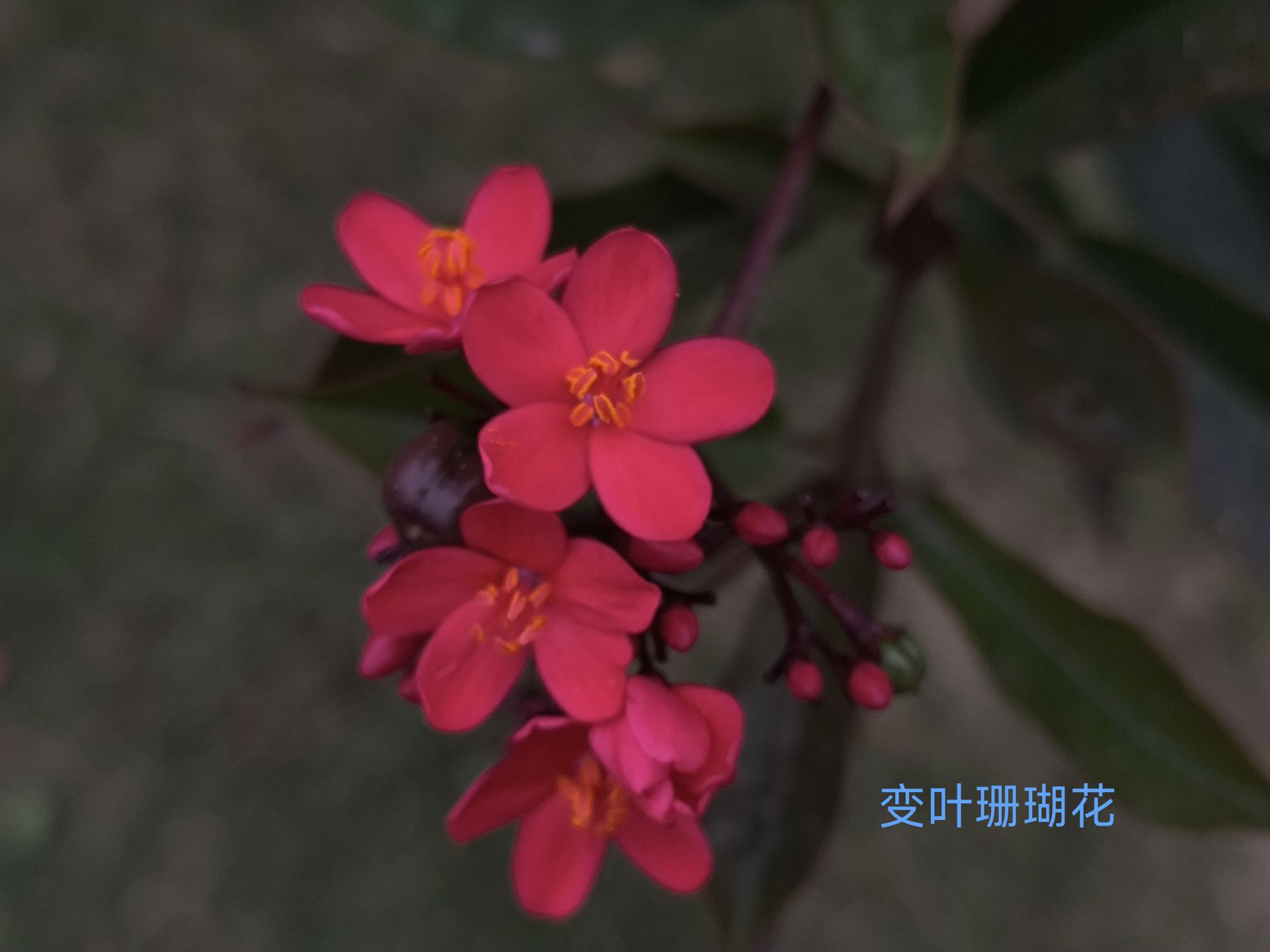 官渡公园旅行图片 3