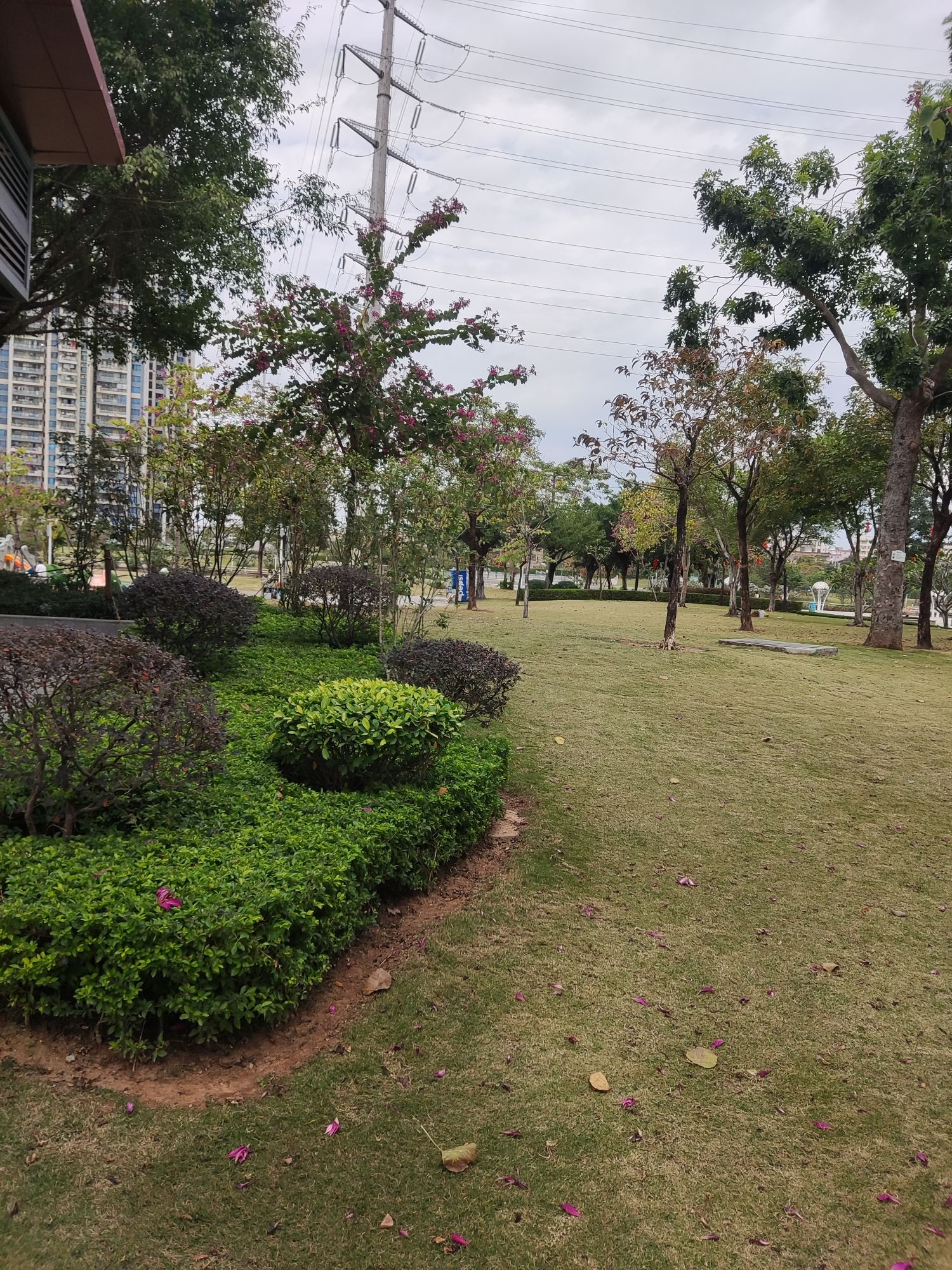 官渡公园旅行图片 2