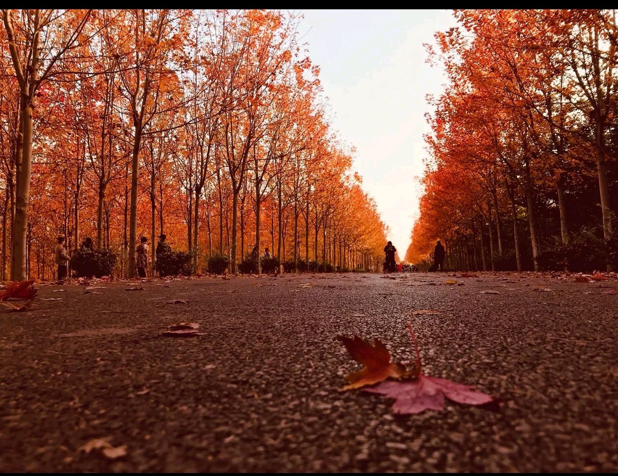 太行药王谷景区旅行图片 2