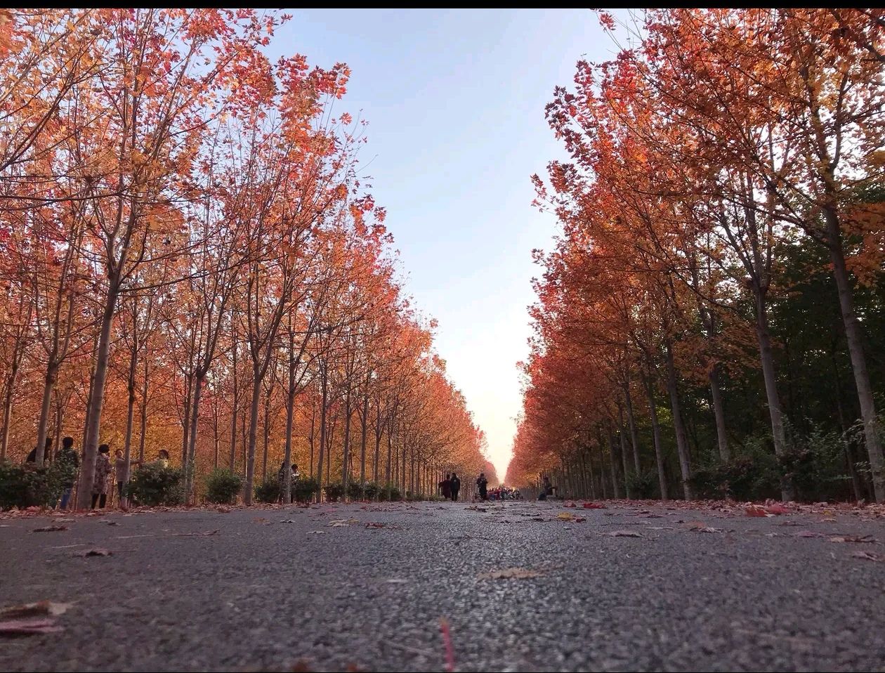 太行药王谷景区旅行图片 3