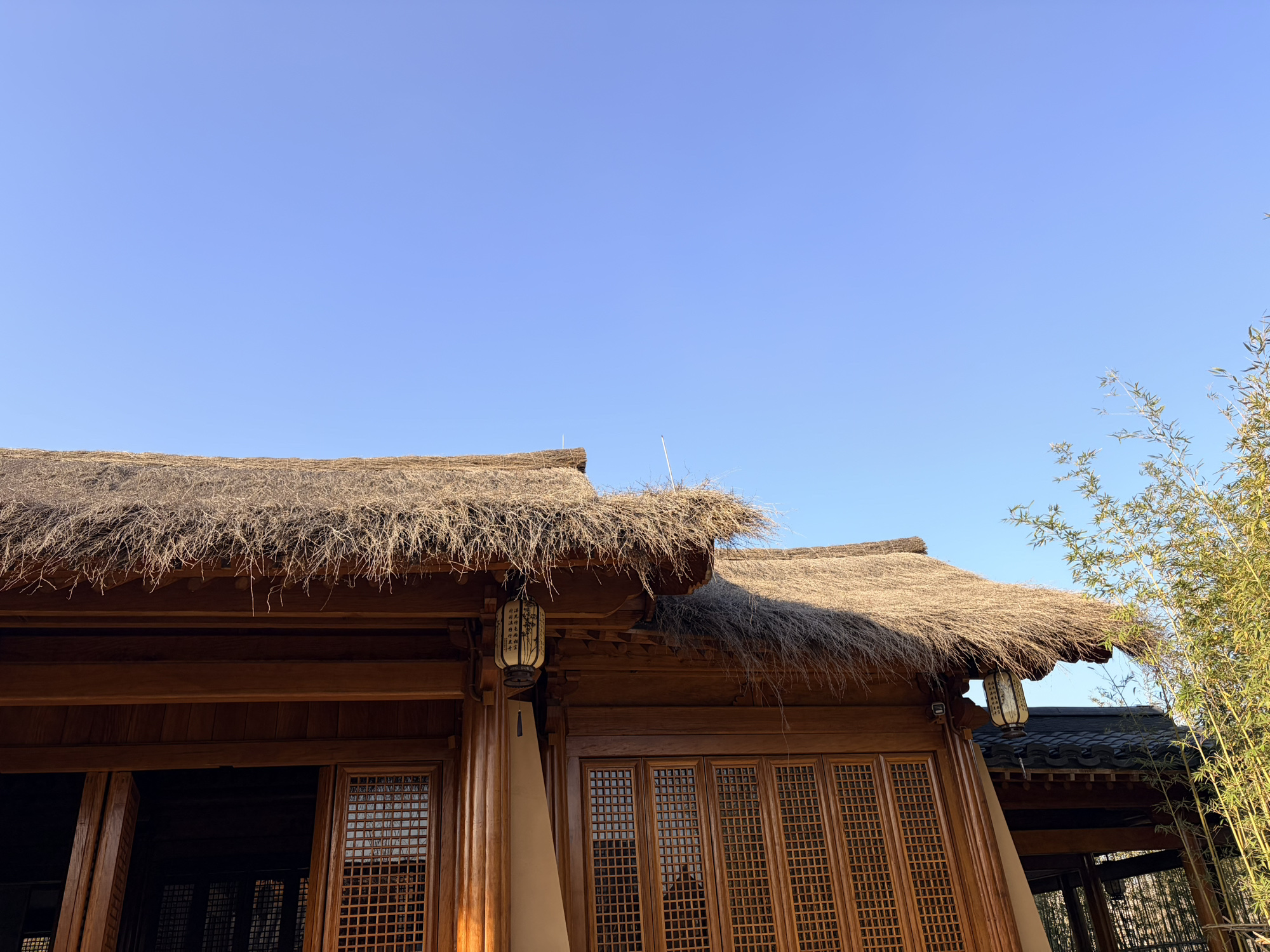 陆游故里旅行图片 1