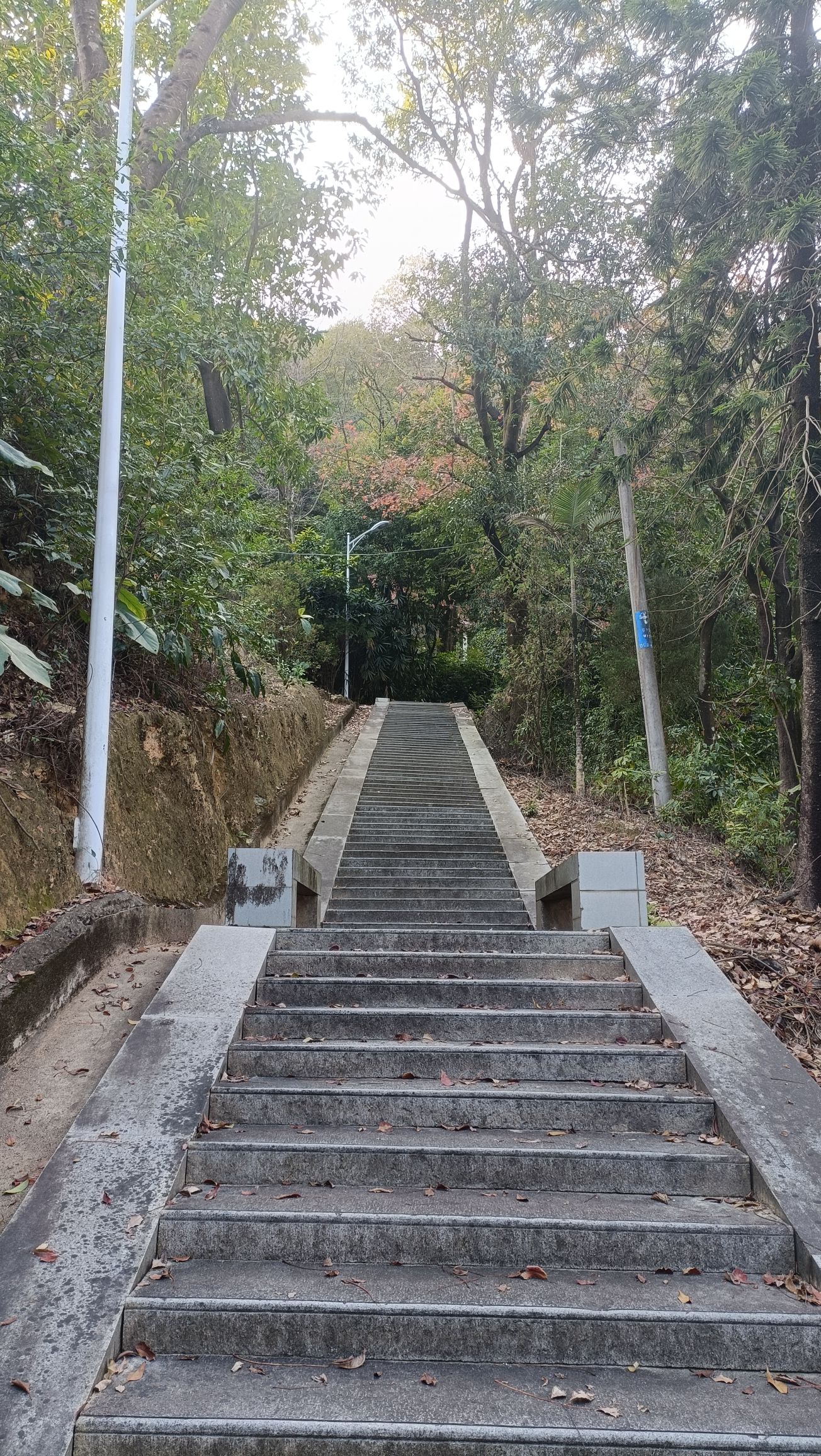 南安市西碧岩风景区旅行图片 1