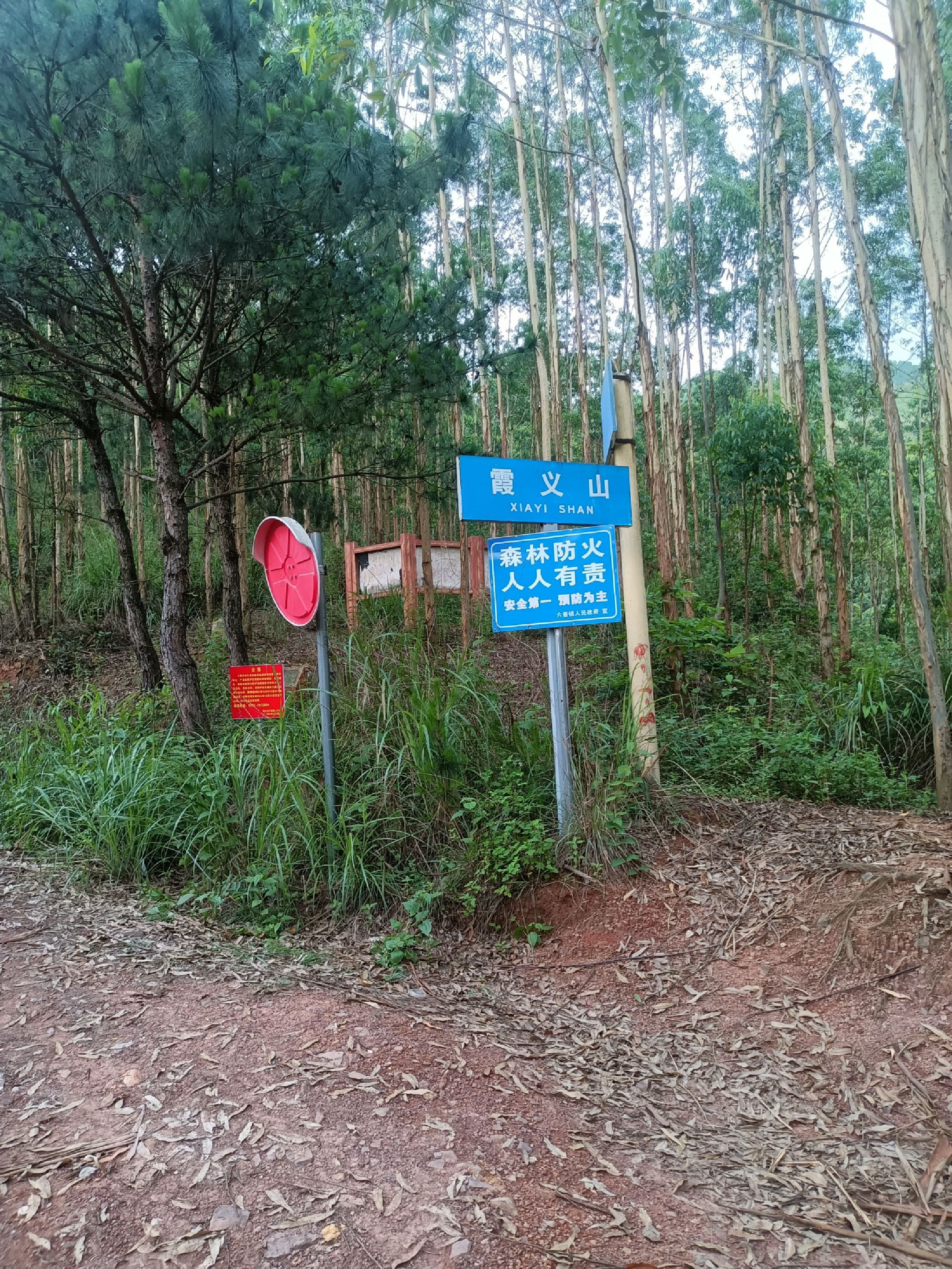 六景海相泥盆系剖面旅行图片 3