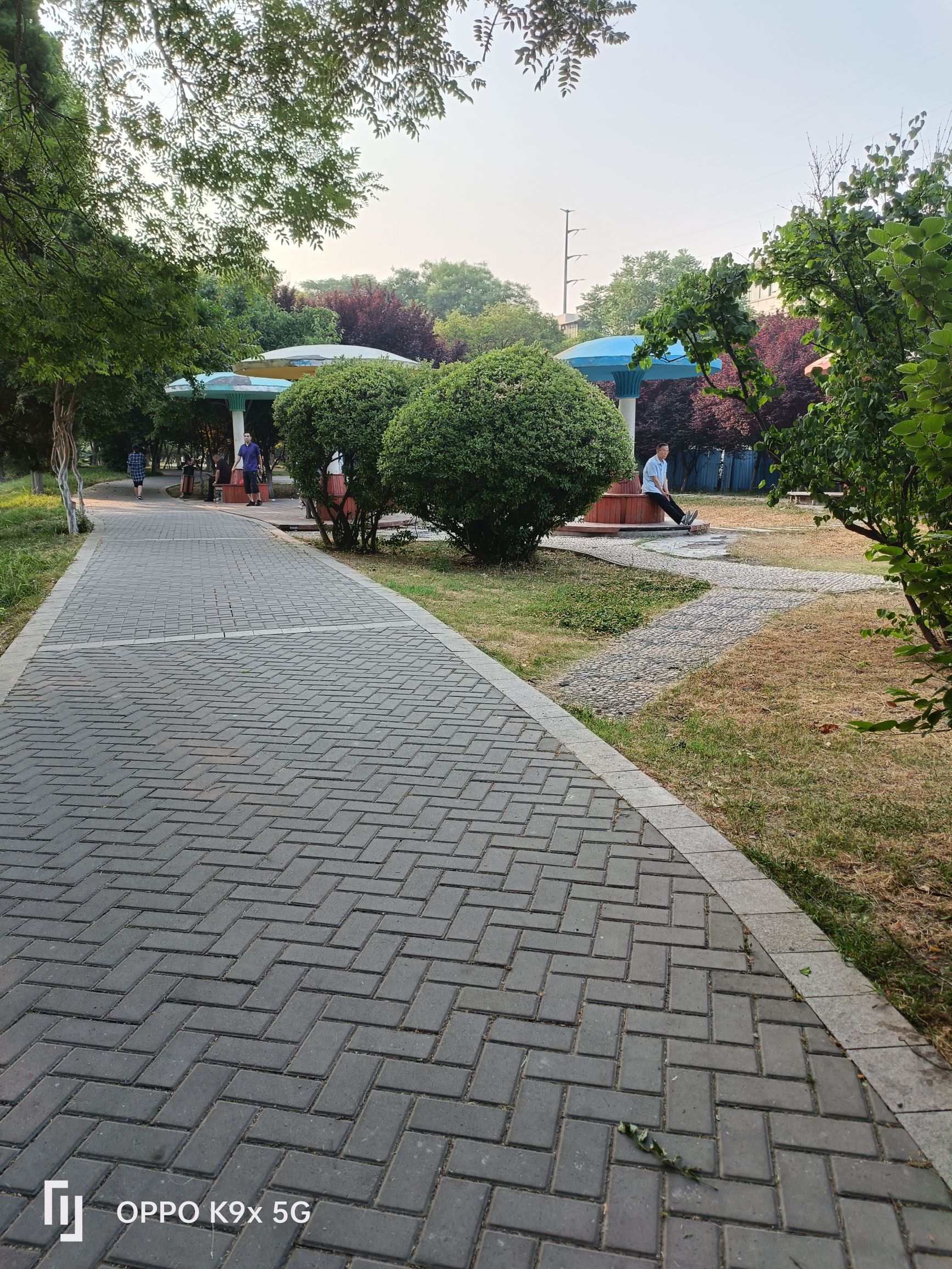 湛河公园旅行图片 2