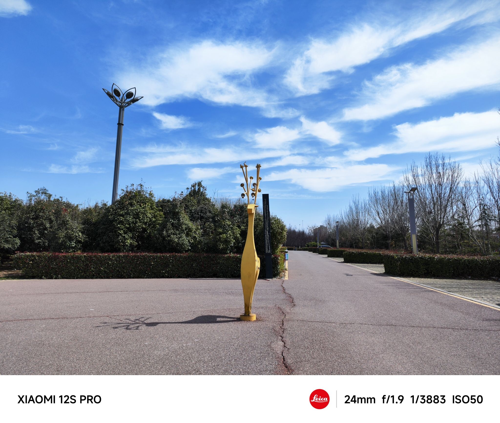 花卉公园旅行图片 3