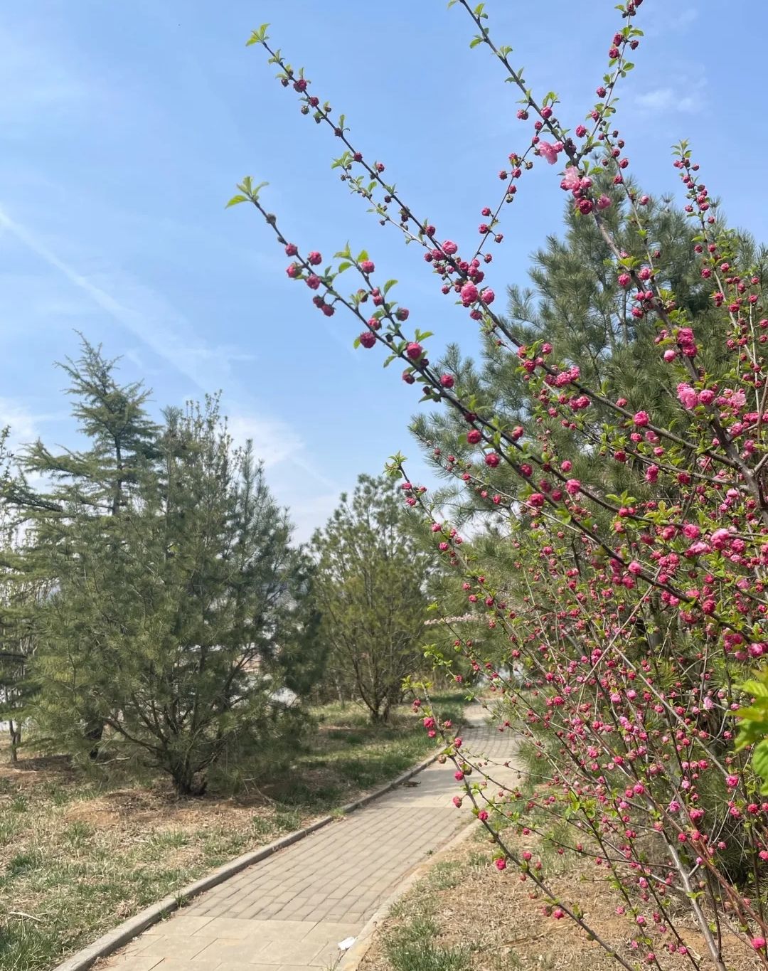 五阳湖生态休闲度假区旅行图片 3