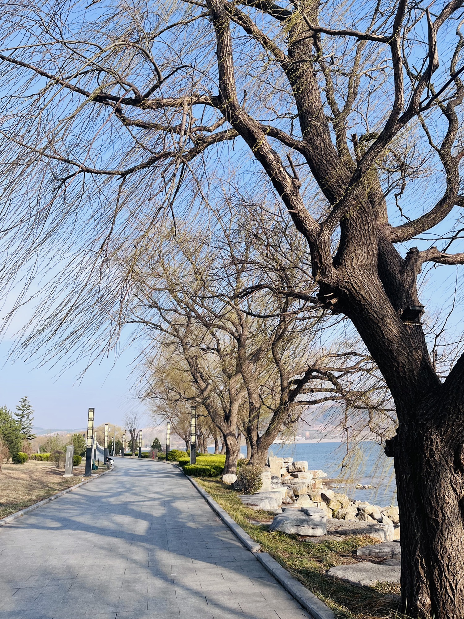五阳湖生态休闲度假区旅行图片 2