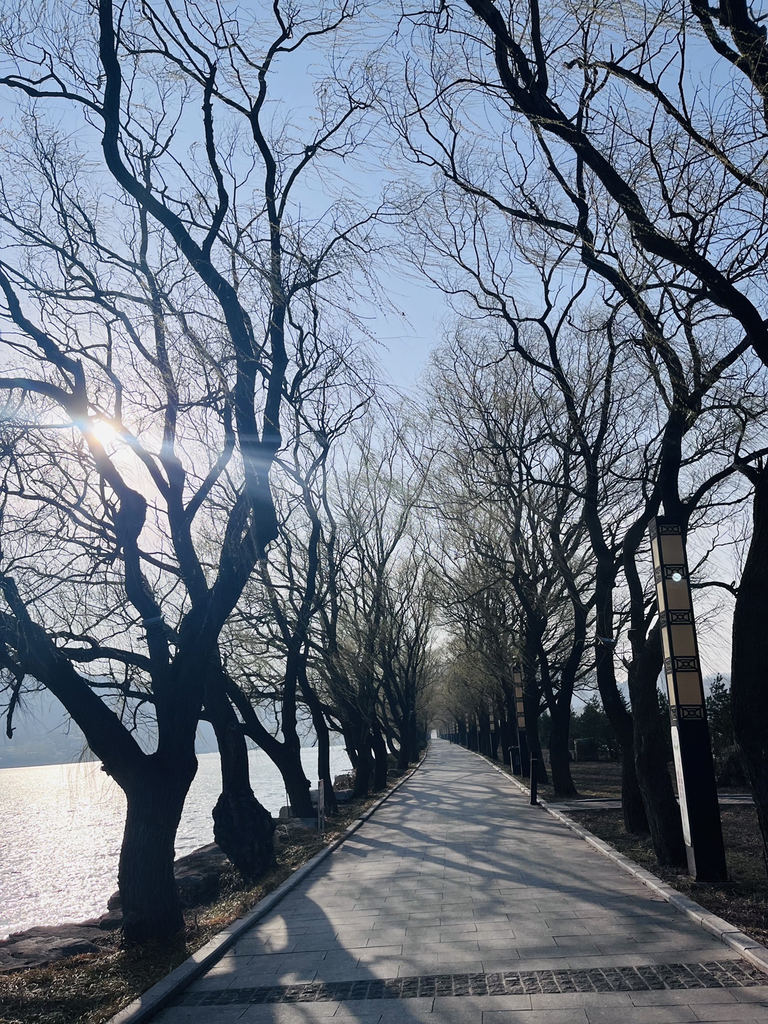 五阳湖生态休闲度假区旅行图片 1