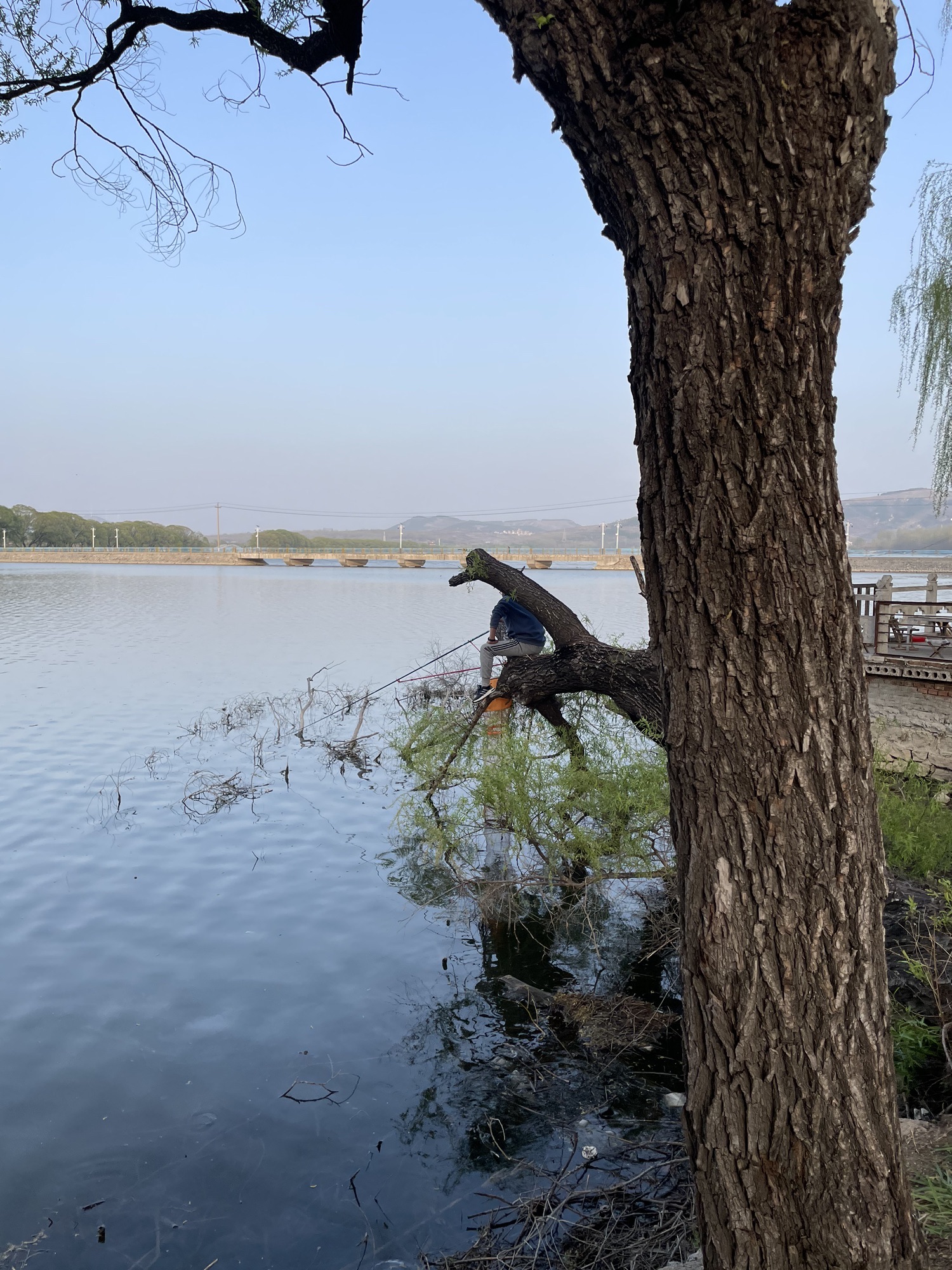 五阳湖生态休闲度假区旅行图片 1