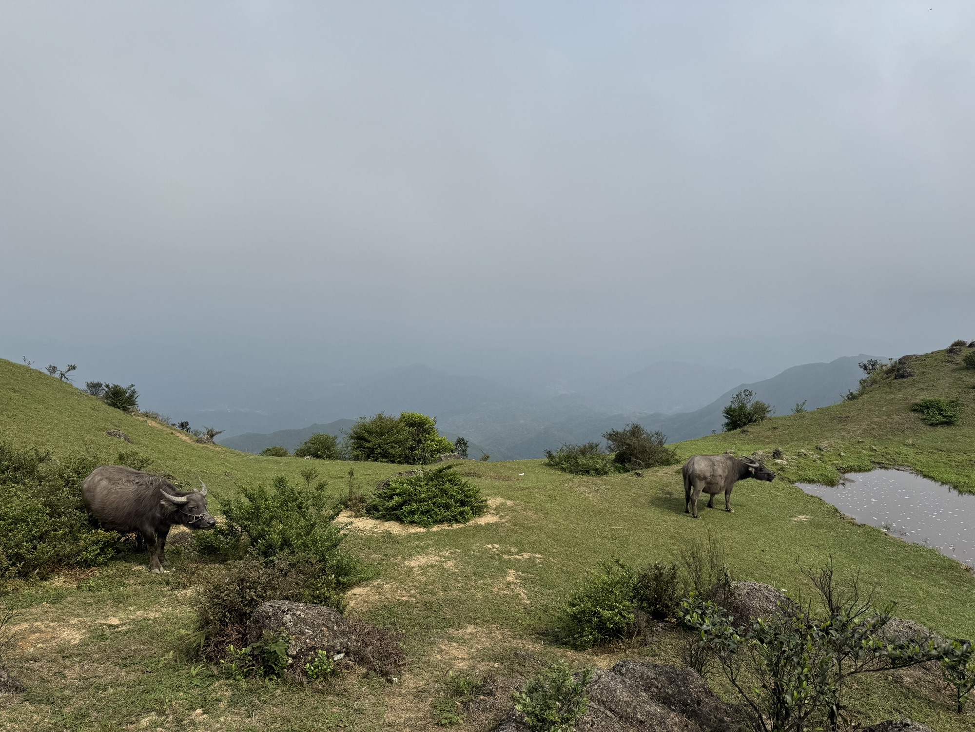 鸡笼顶大草原旅行图片 3