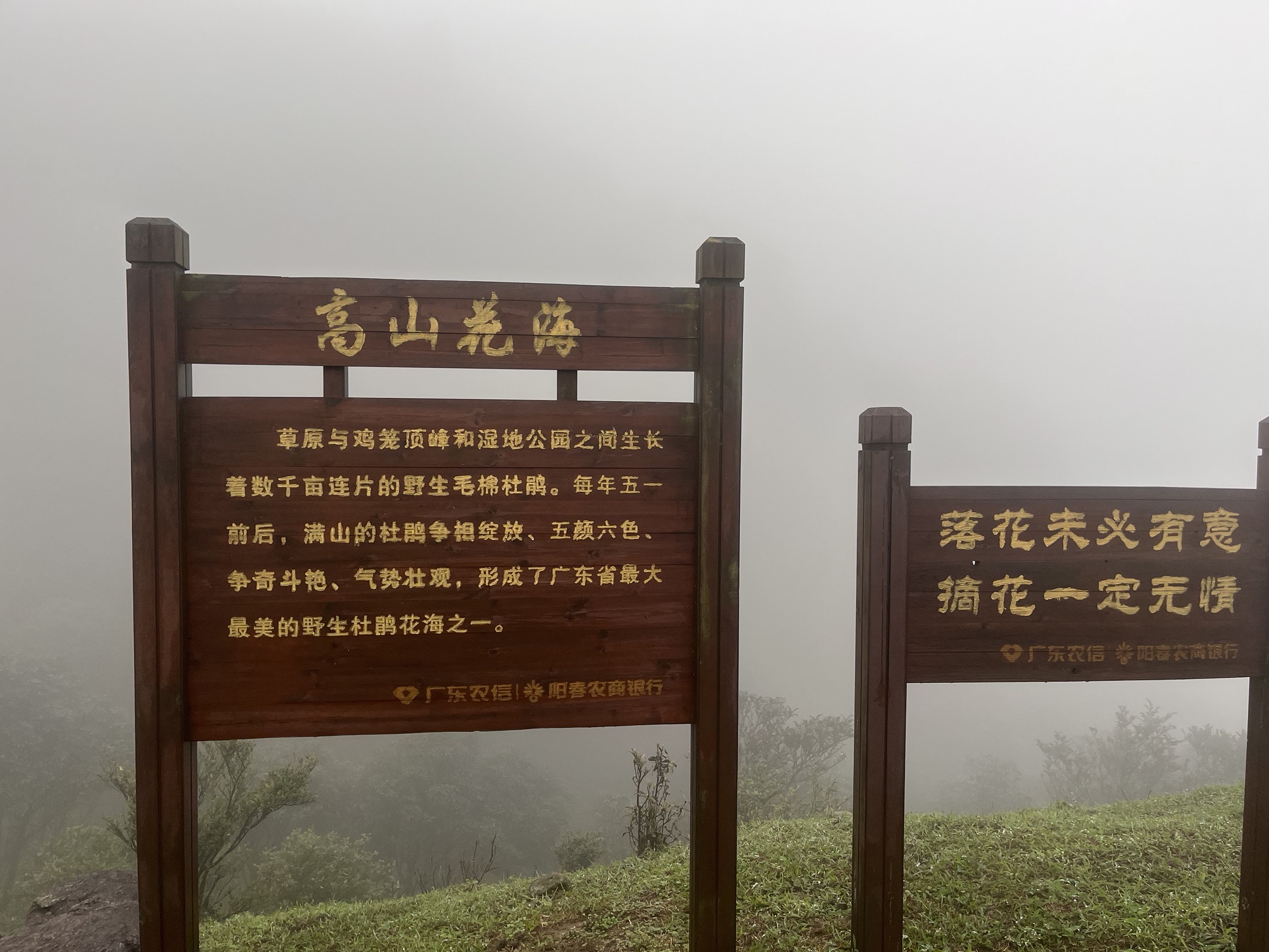 鸡笼顶大草原旅行图片 3