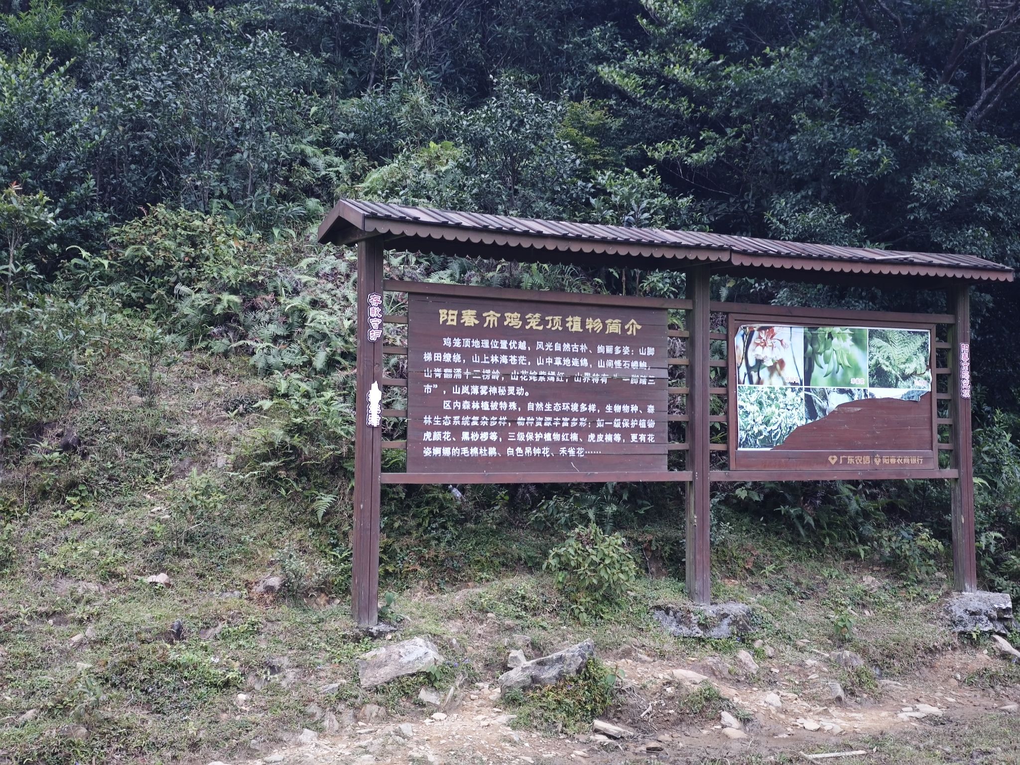 鸡笼顶大草原旅行图片 3