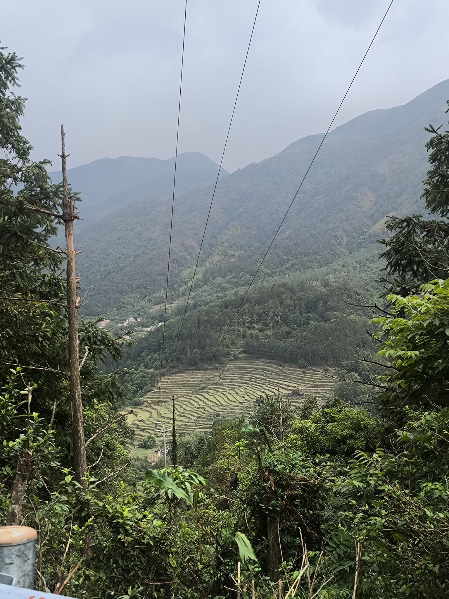 鸡笼顶大草原旅行图片 2