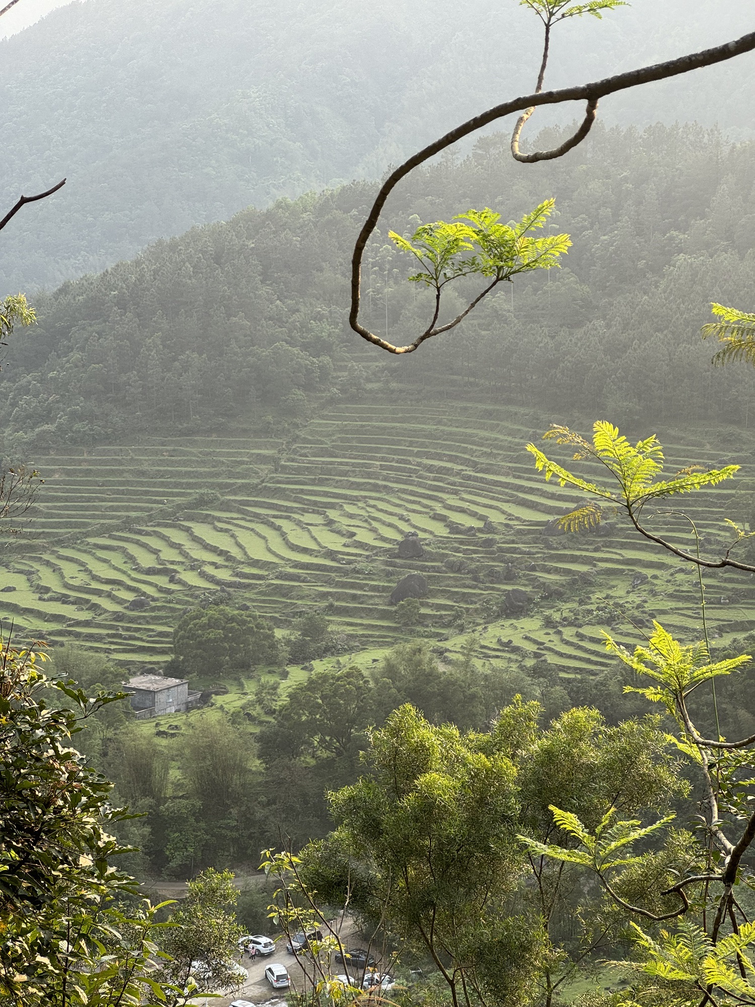 鸡笼顶大草原旅行图片 1