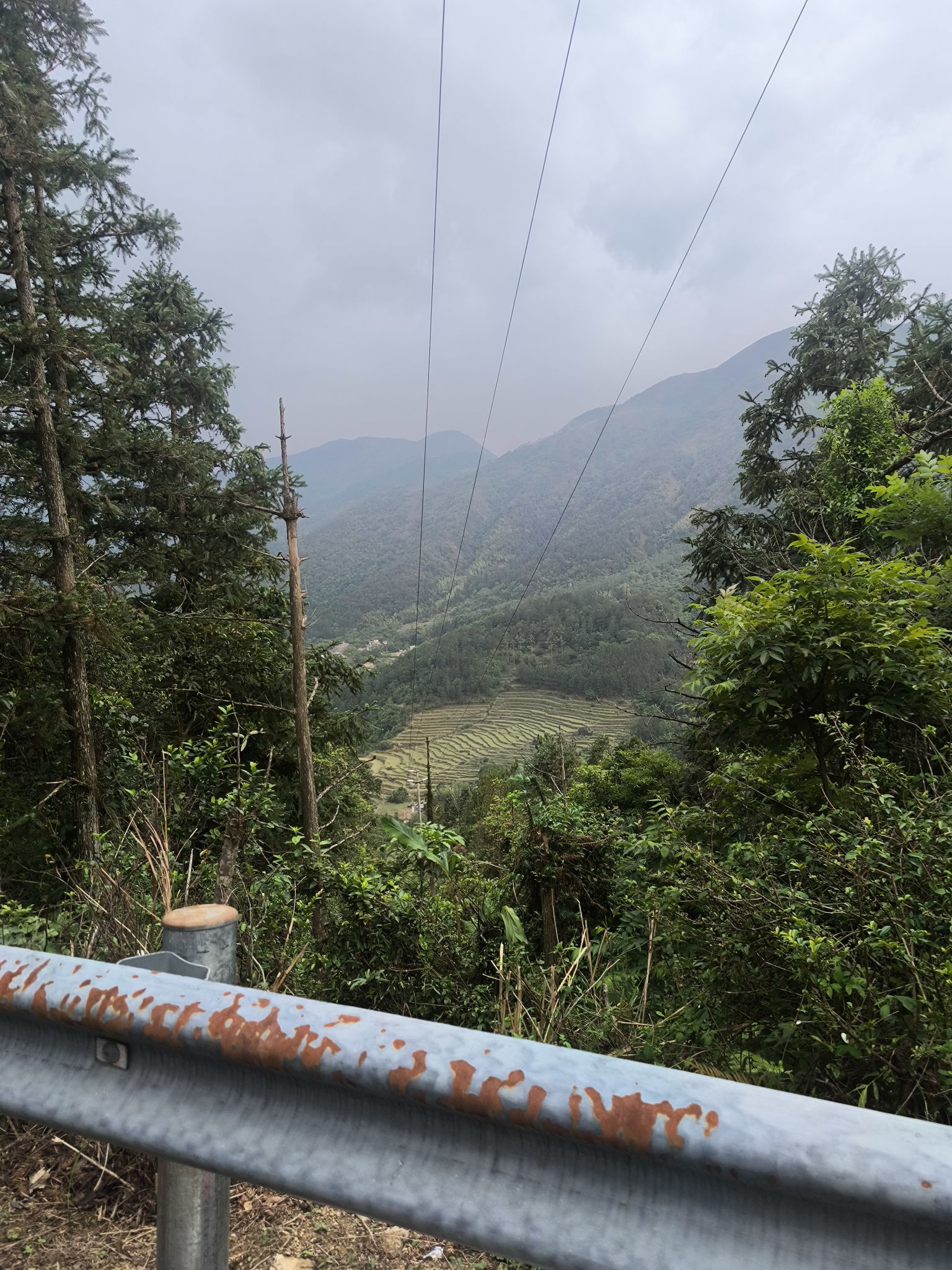 鸡笼顶大草原旅行图片 1