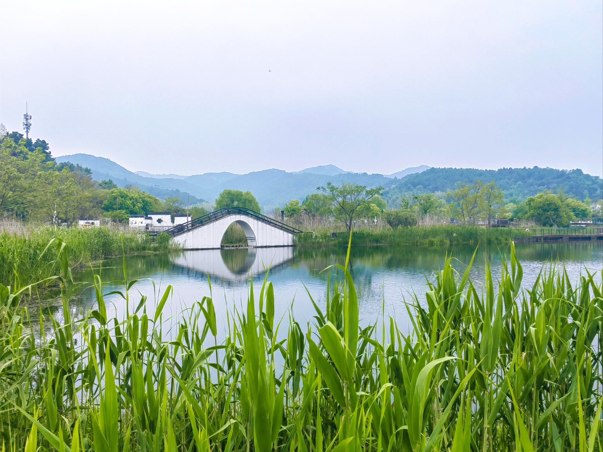 东阳市湿地公园