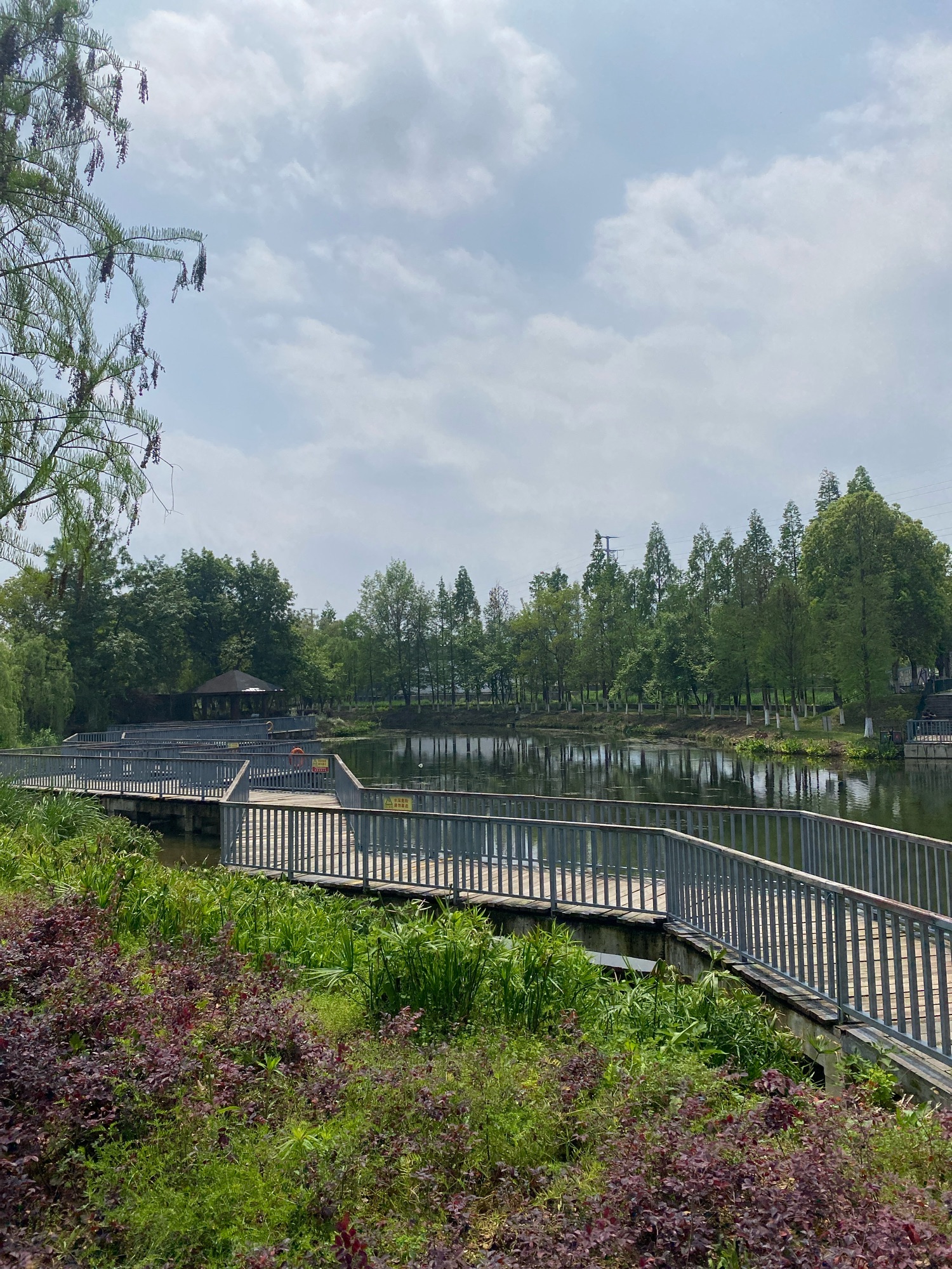 东阳市湿地公园旅行图片 3
