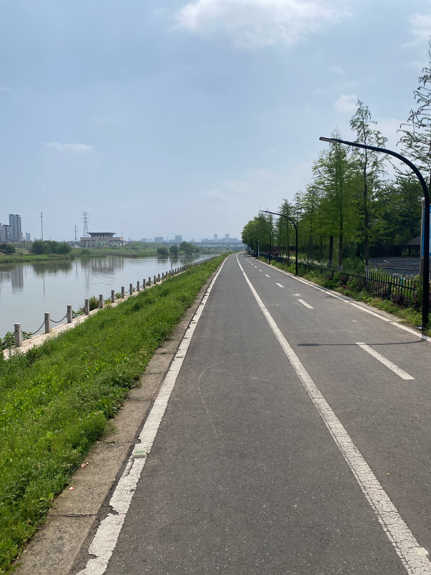 东阳市湿地公园旅行图片 2