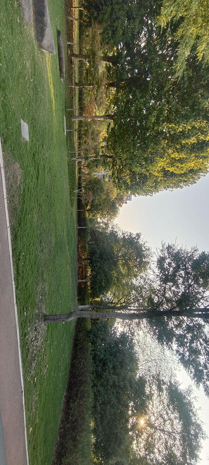 东阳市湿地公园旅行图片 2