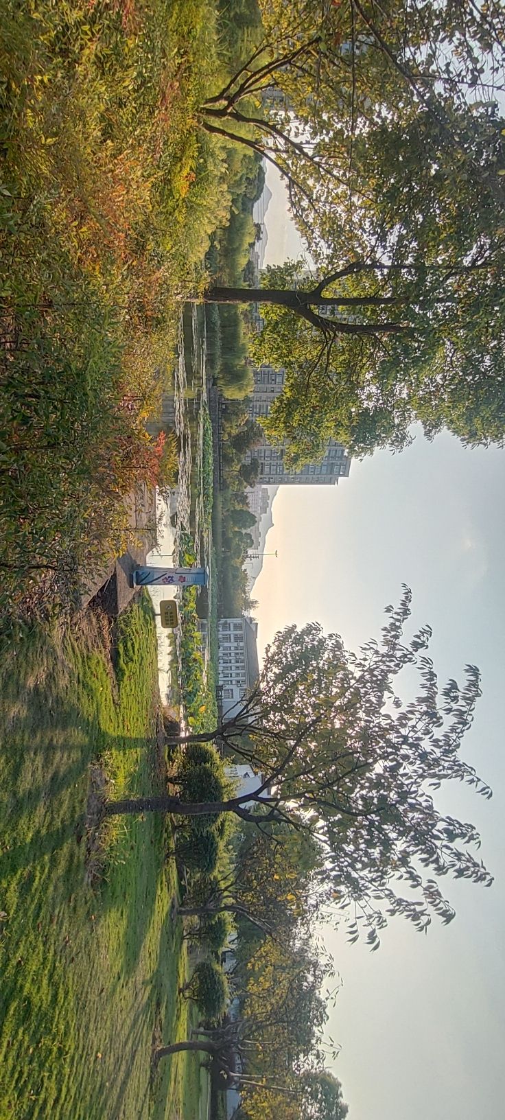 东阳市湿地公园旅行图片 1