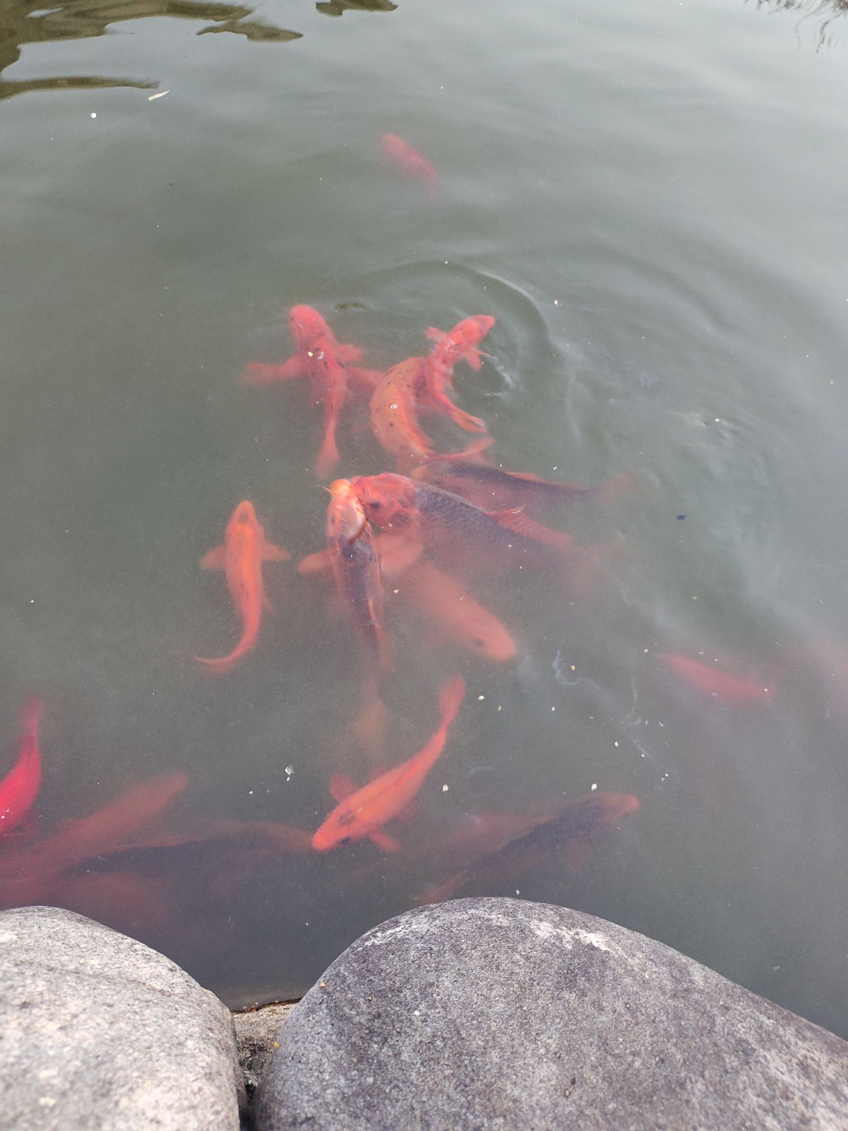 北后周古建筑群旅行图片 2