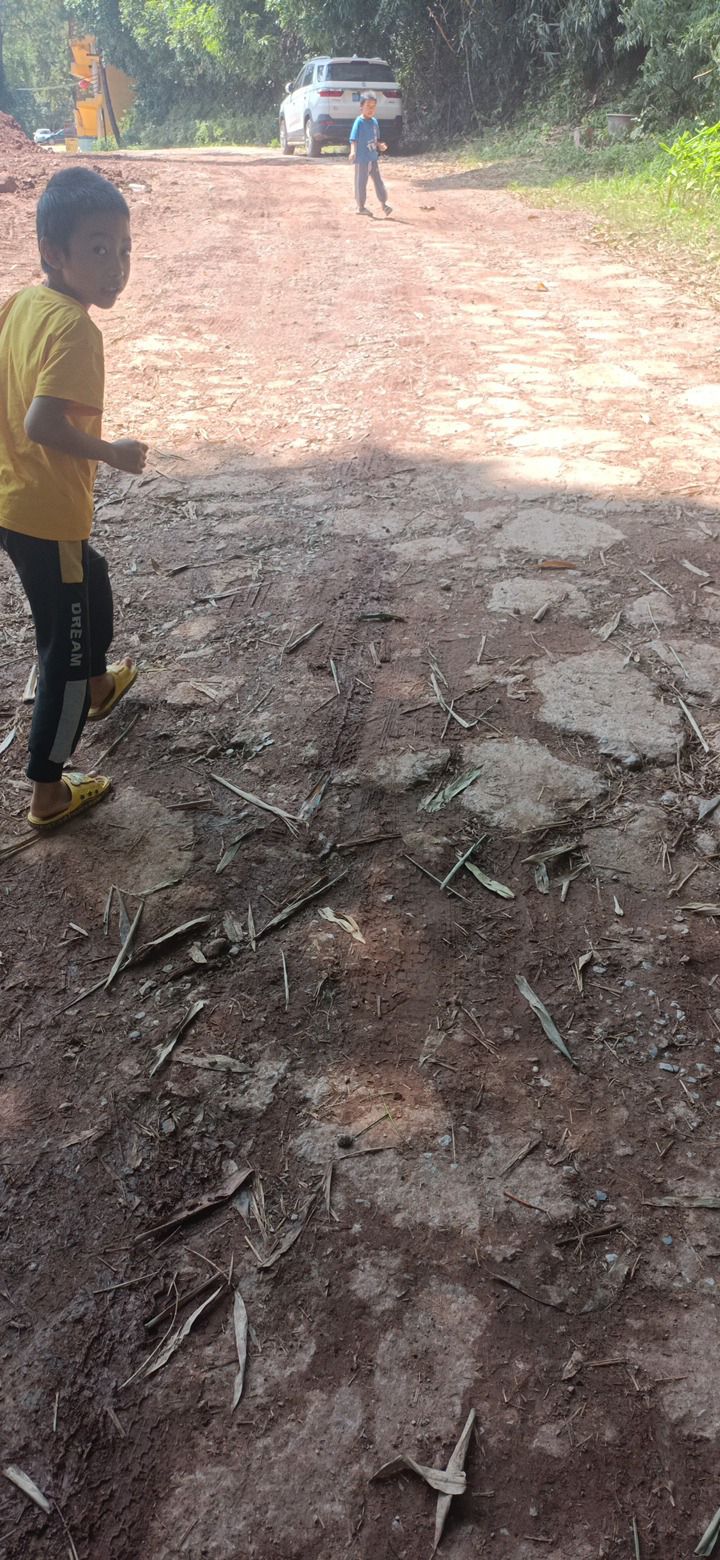 狮子头森林公园旅行图片 1