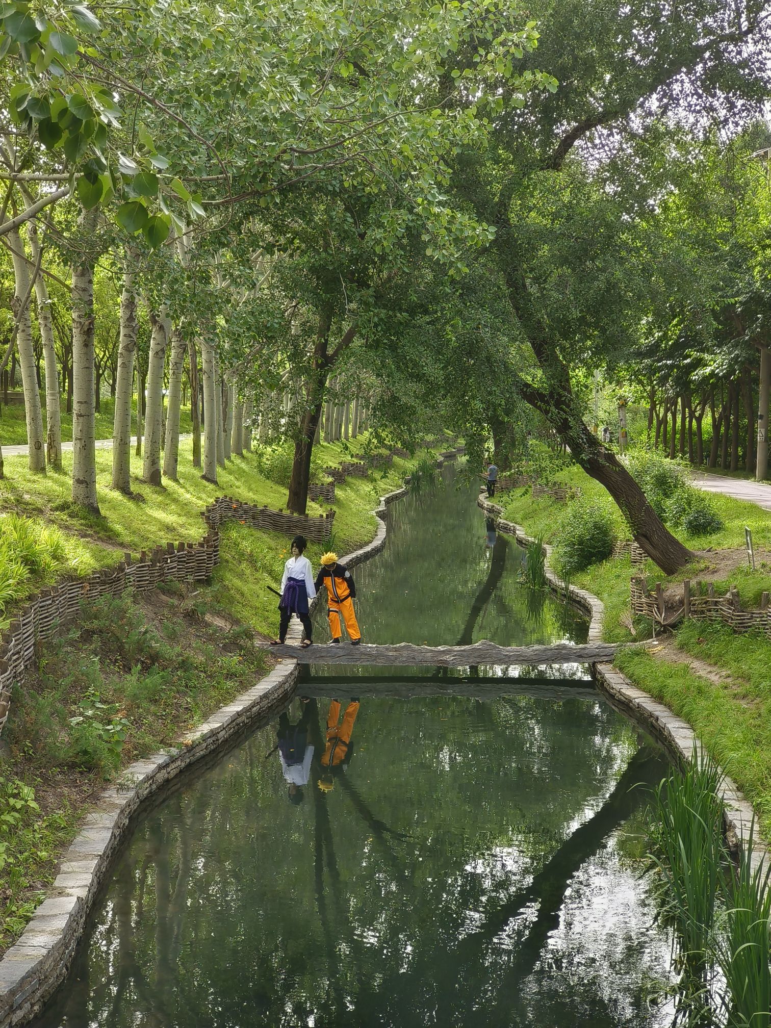 中坞公园旅行图片 3