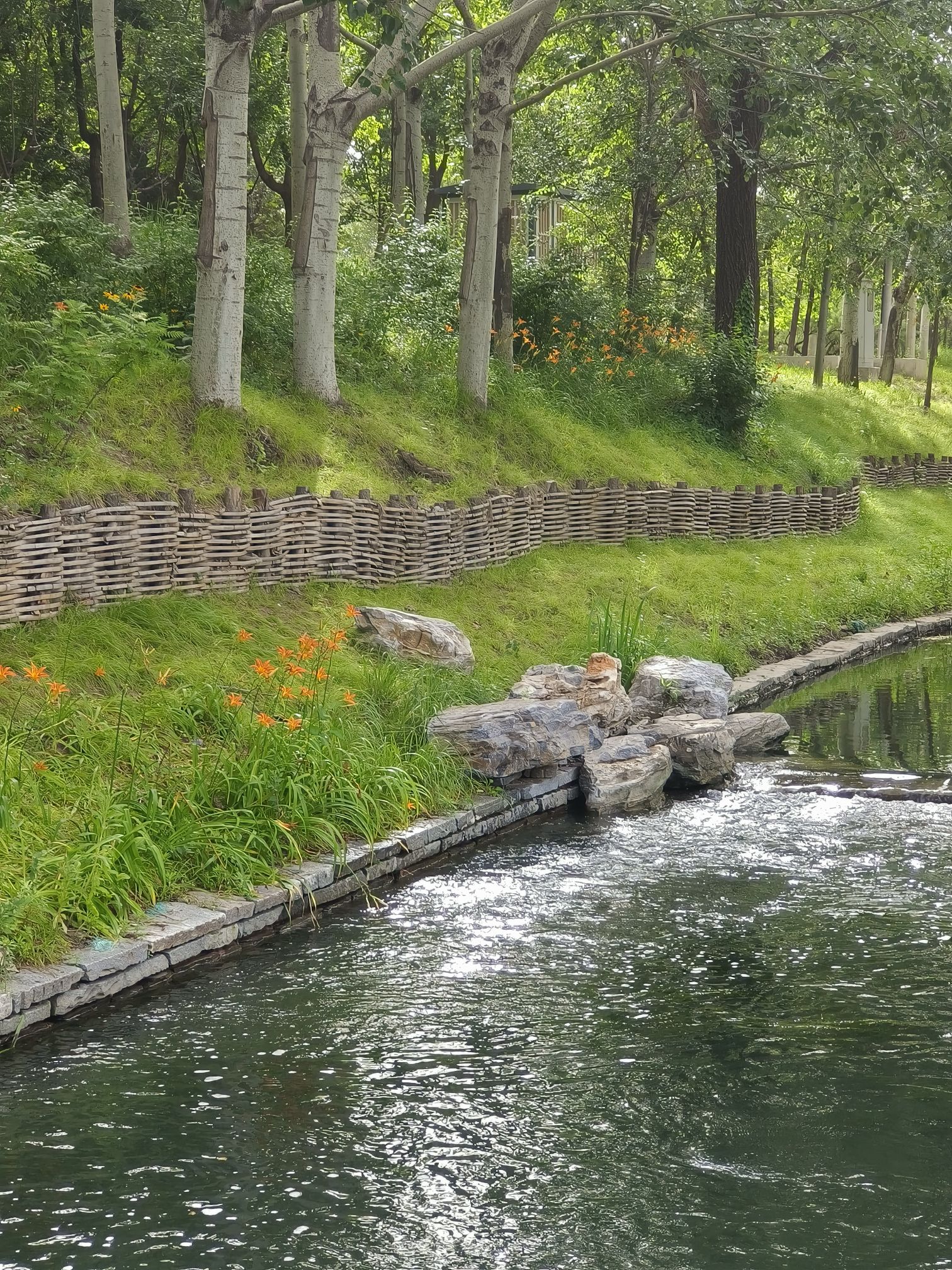 中坞公园旅行图片 2