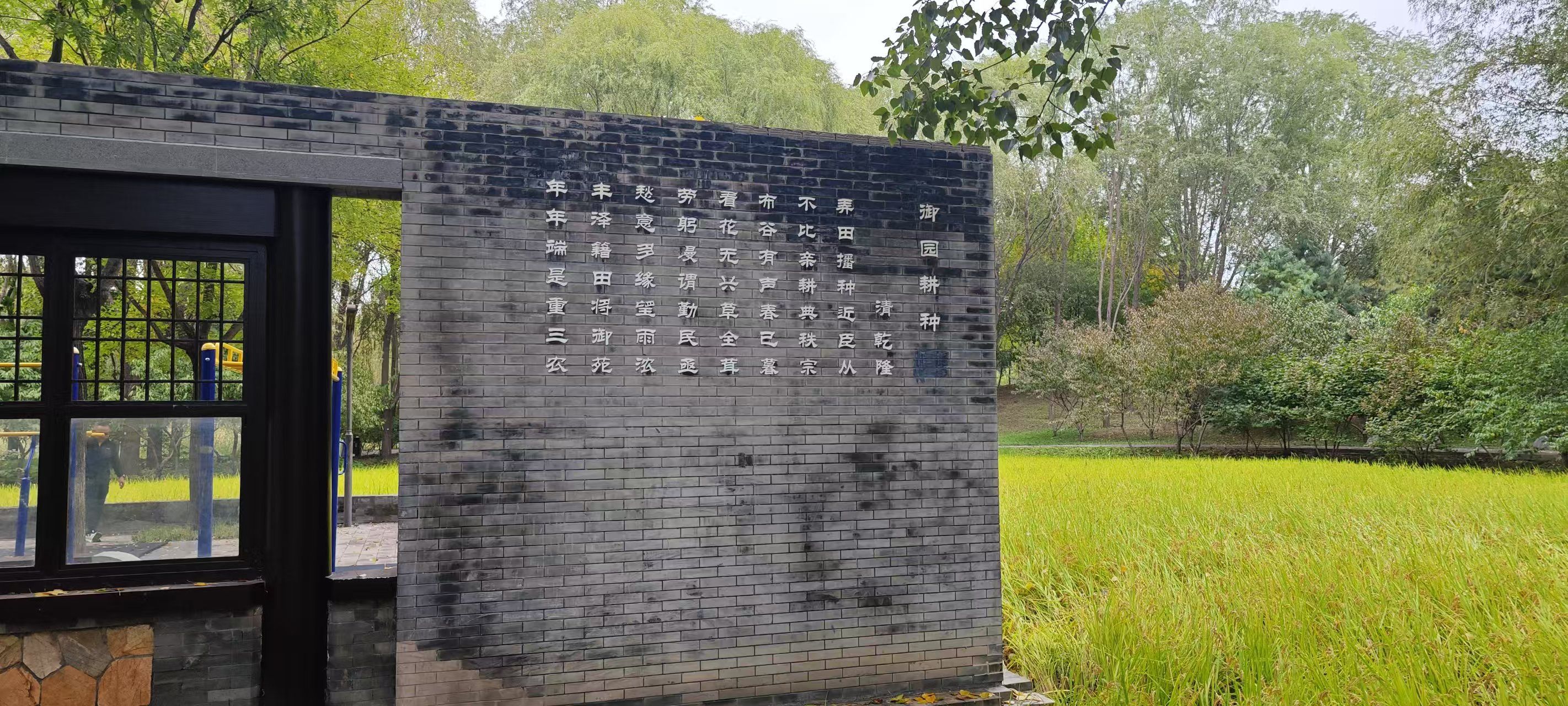 中坞公园旅行图片 2