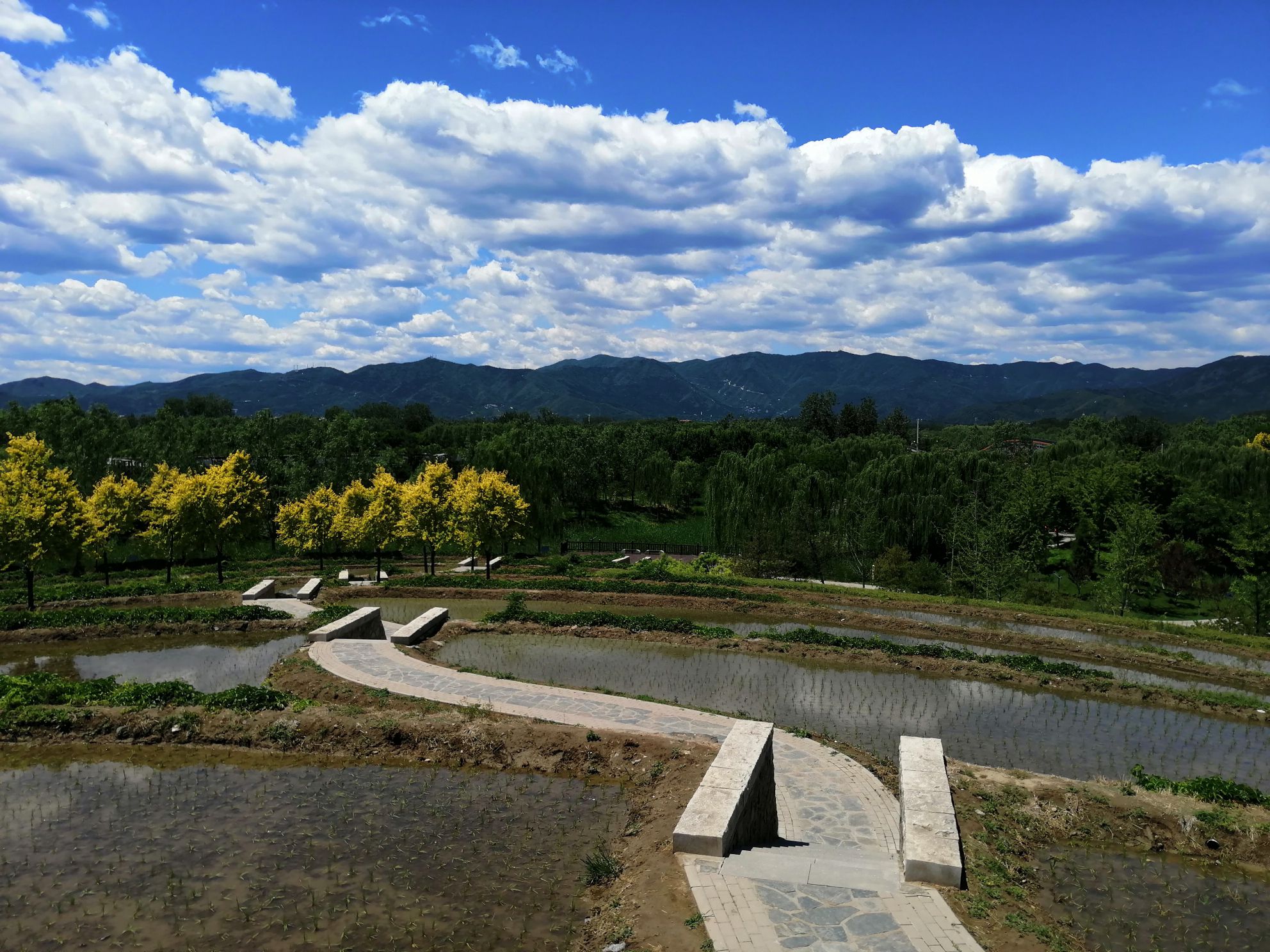 中坞公园旅行图片 1