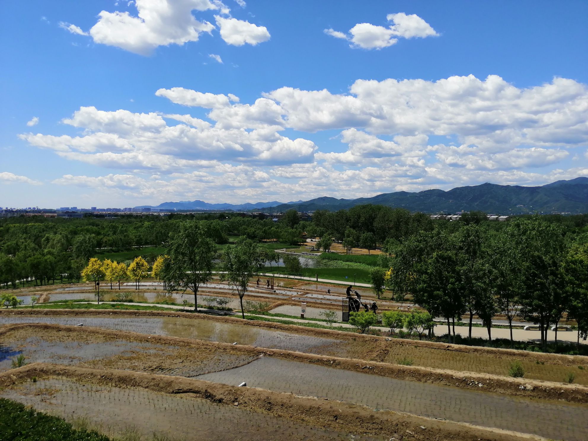 中坞公园旅行图片 3