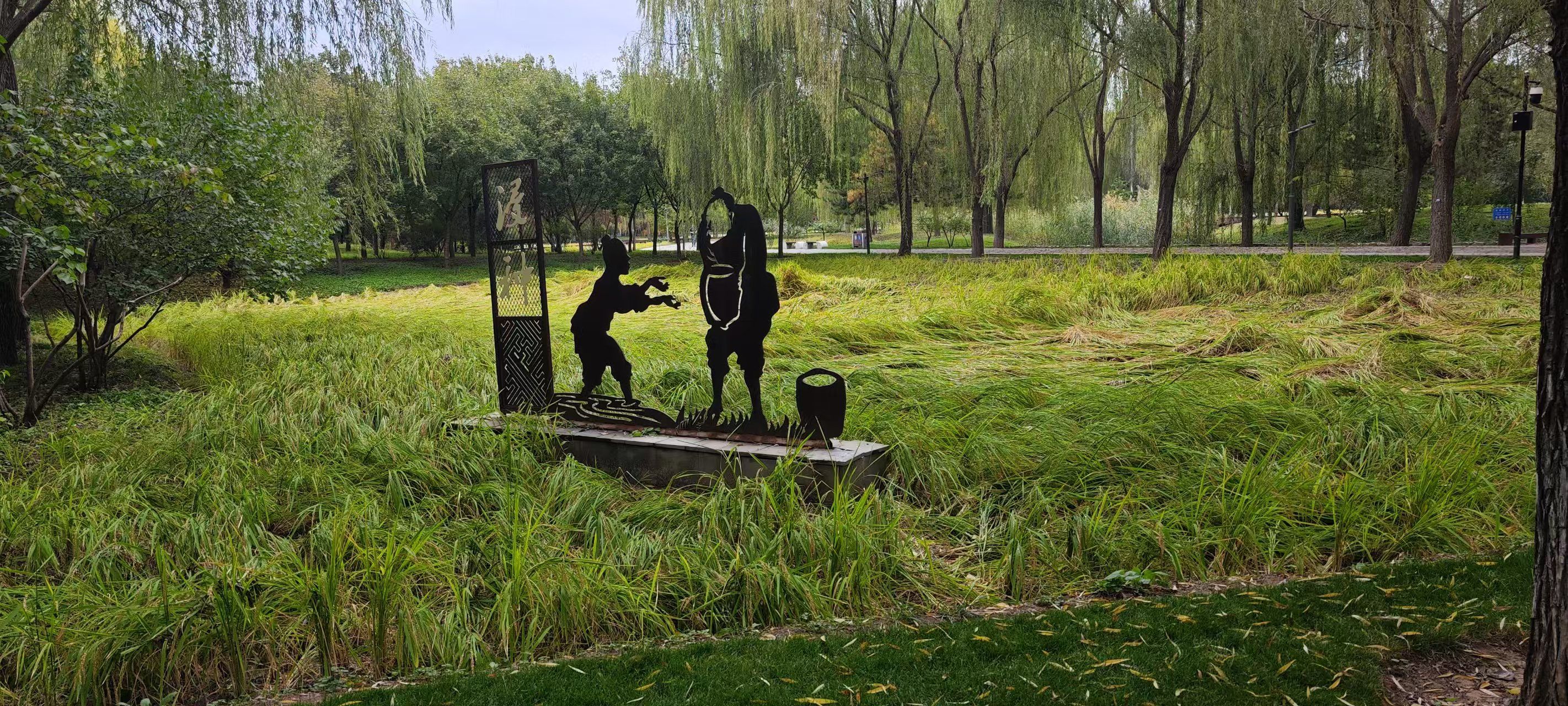 中坞公园旅行图片 3