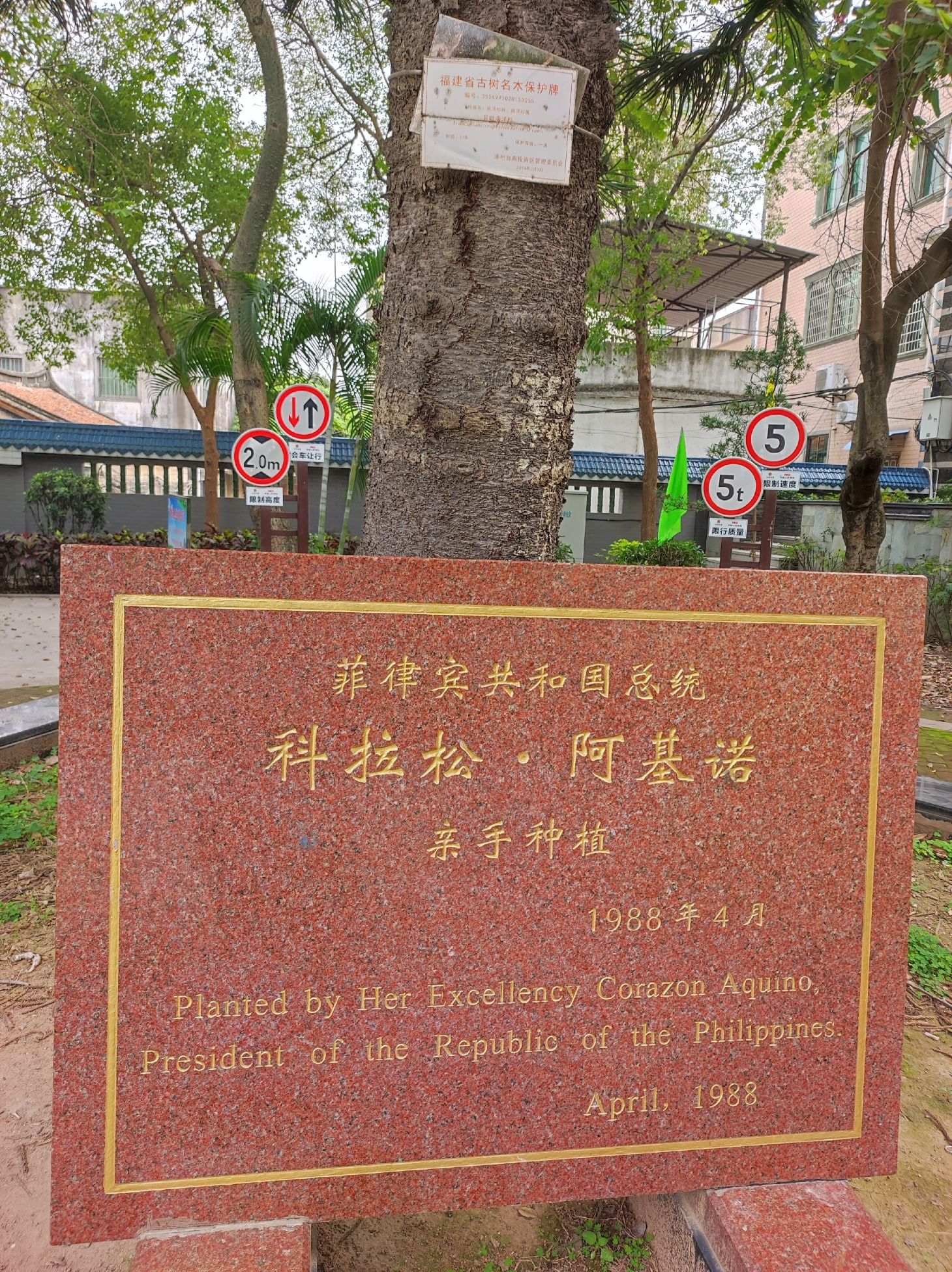 鸿渐公园旅行图片 3