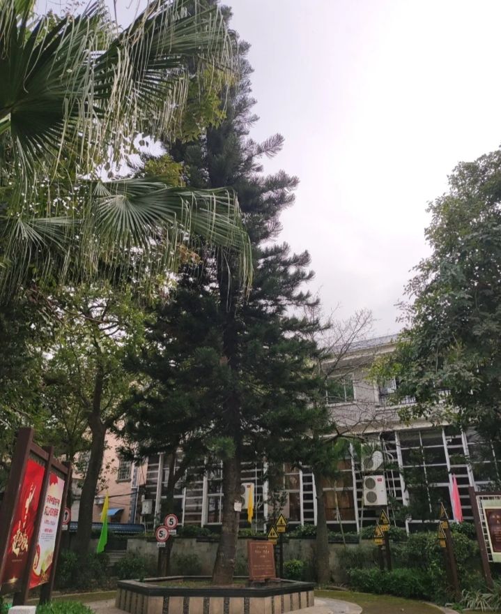 鸿渐公园旅行图片 1