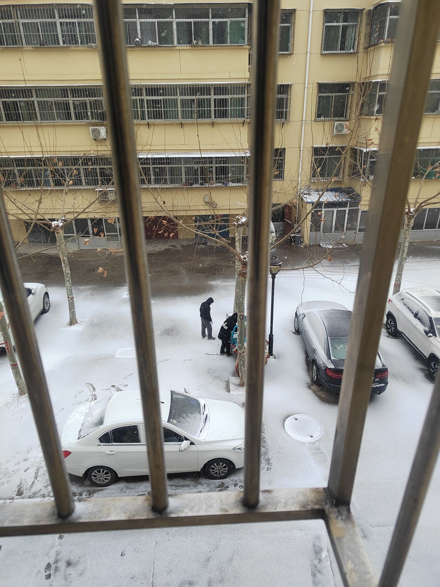 泗庄社区公园旅行图片 2