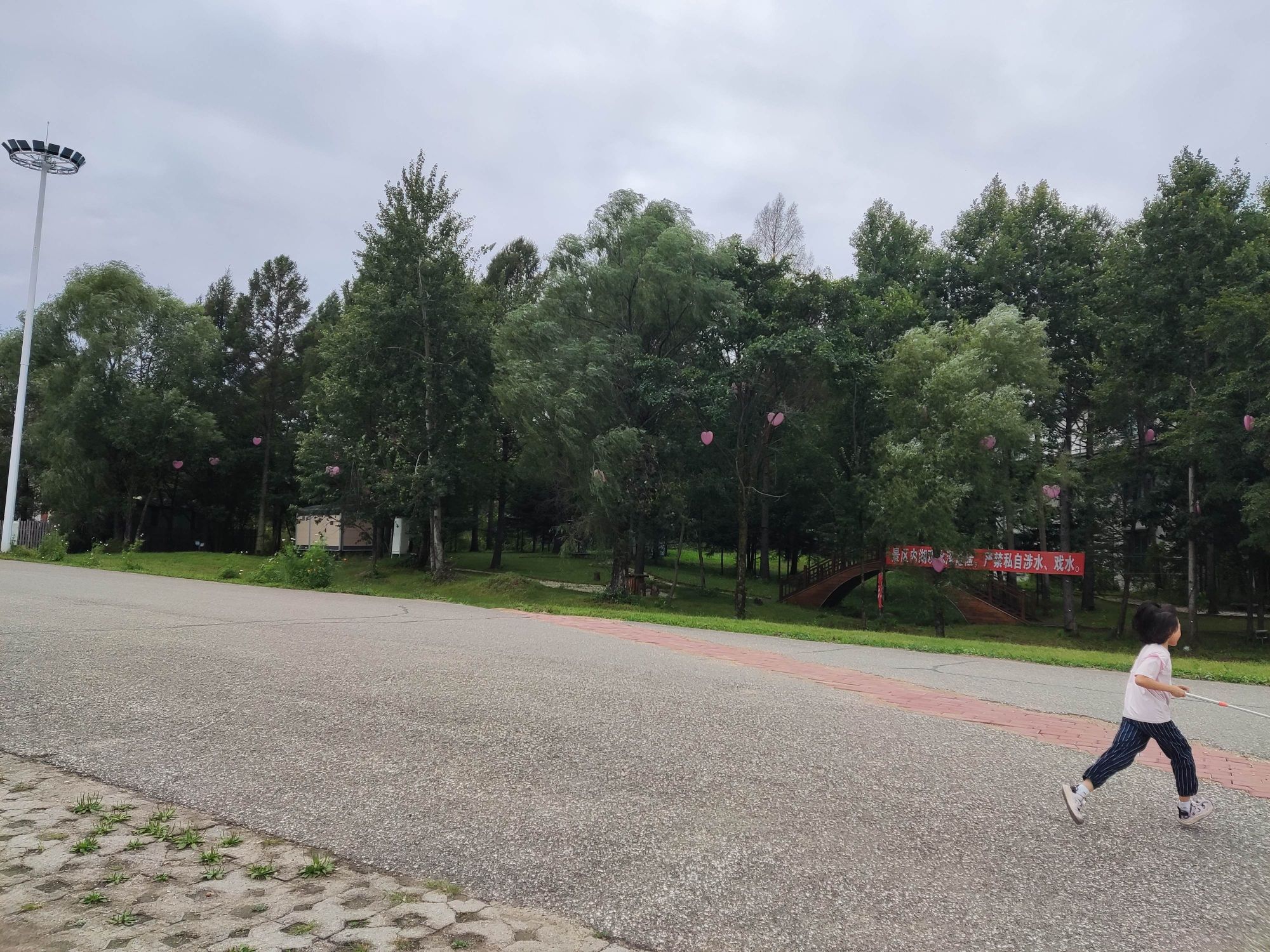 逍遥八仙湖景区旅行图片 2