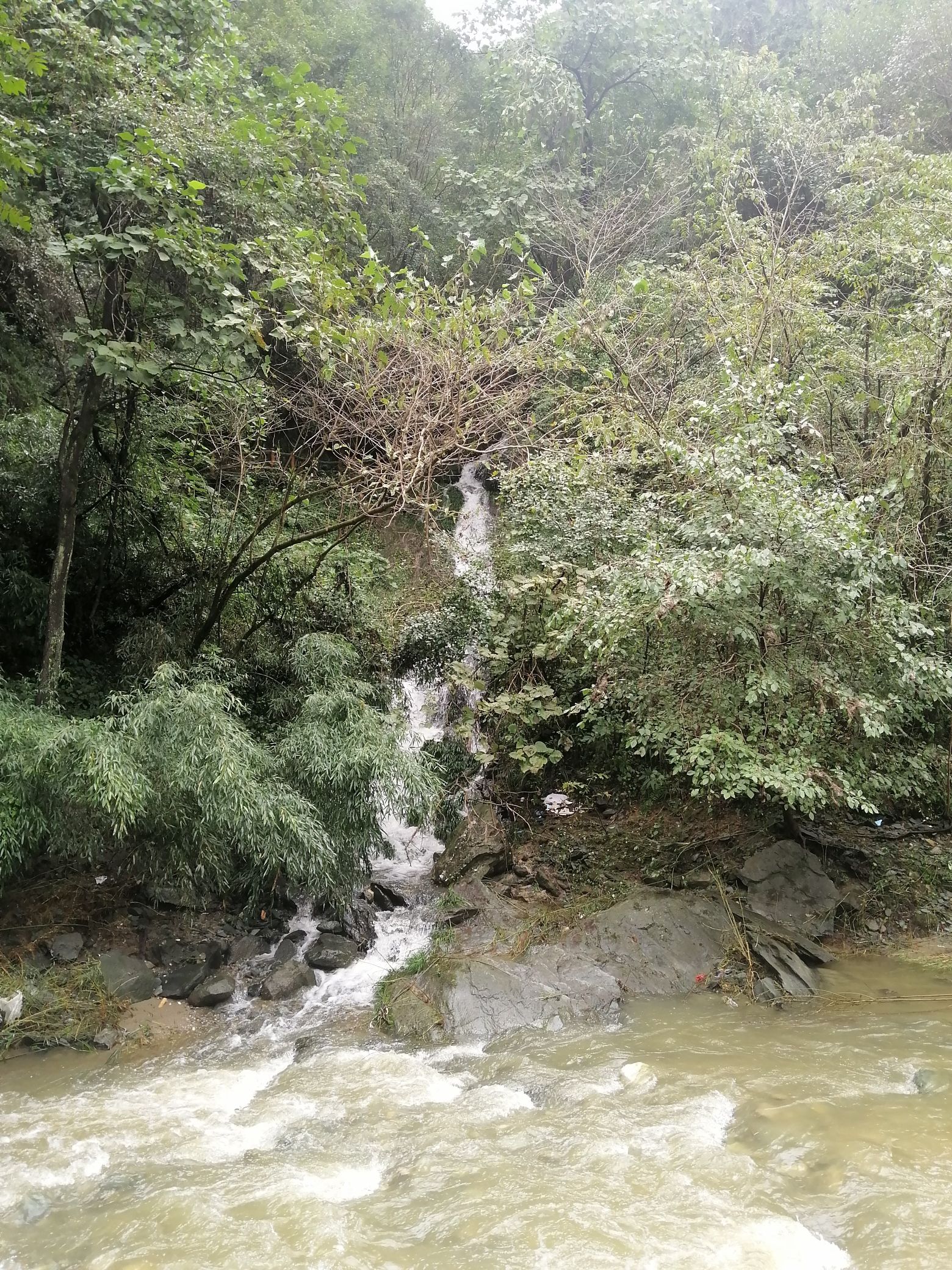 大川瀑布旅行图片 1