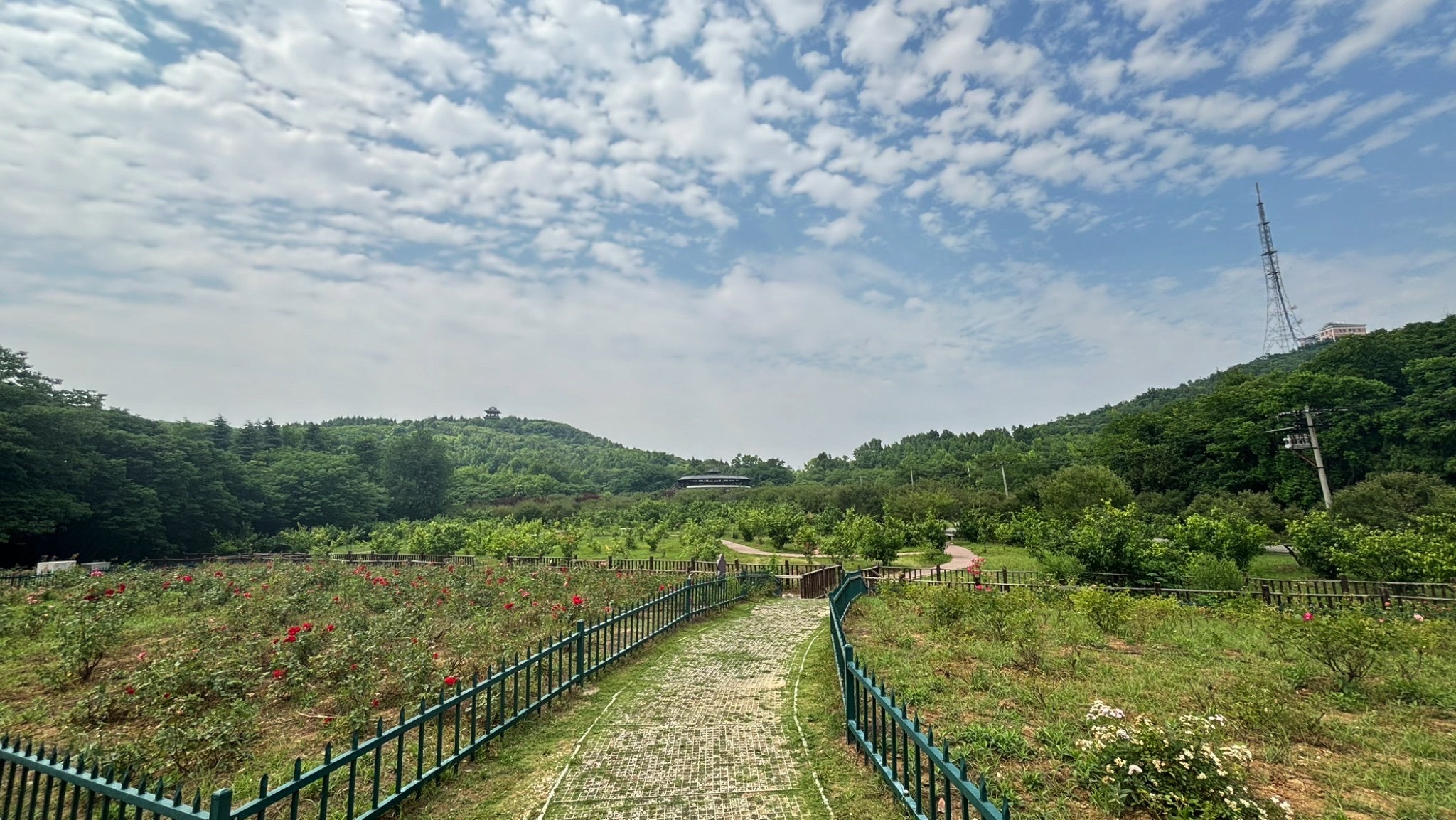 舜耕山风景区
