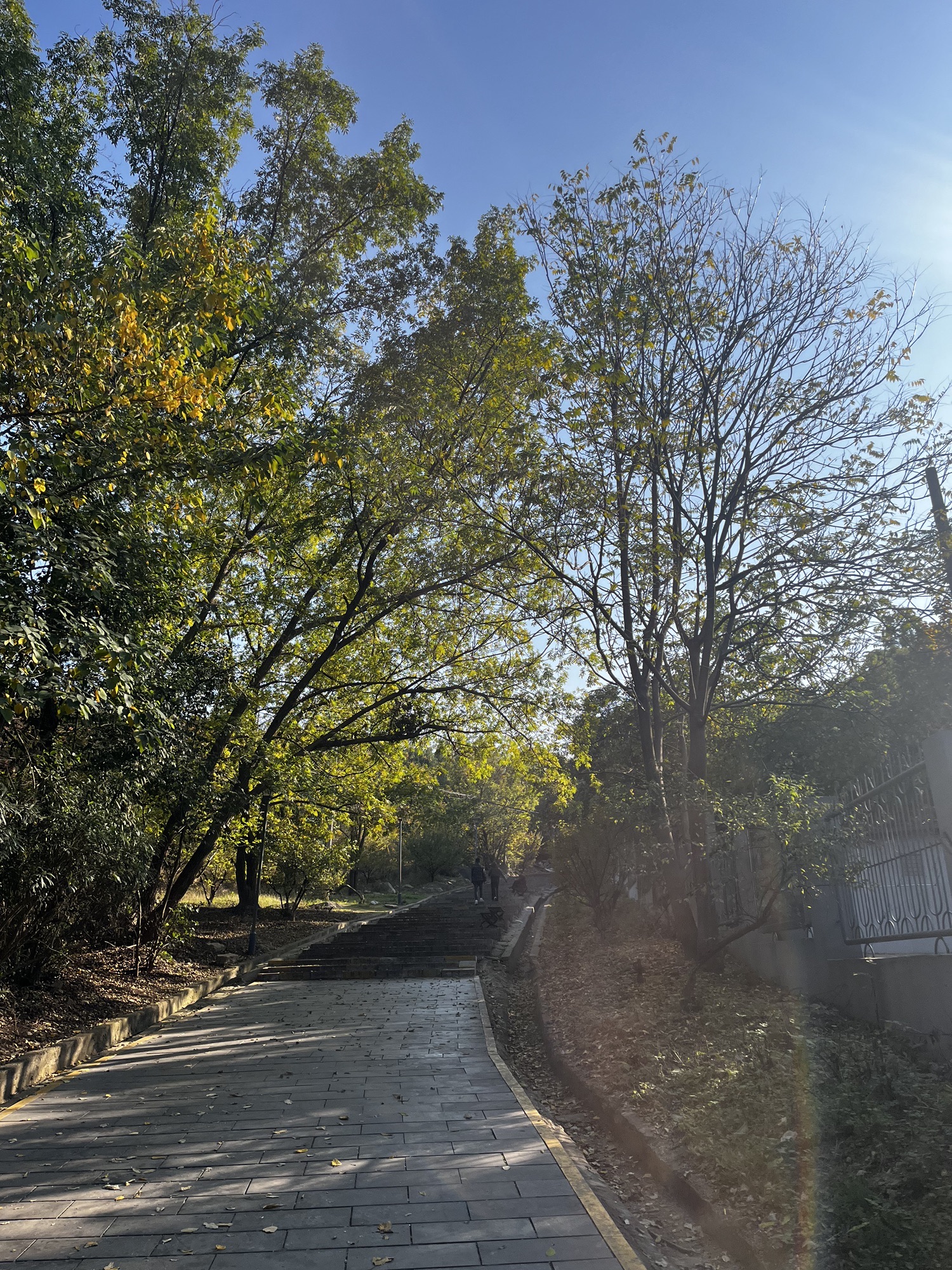 舜耕山风景区旅行图片 2