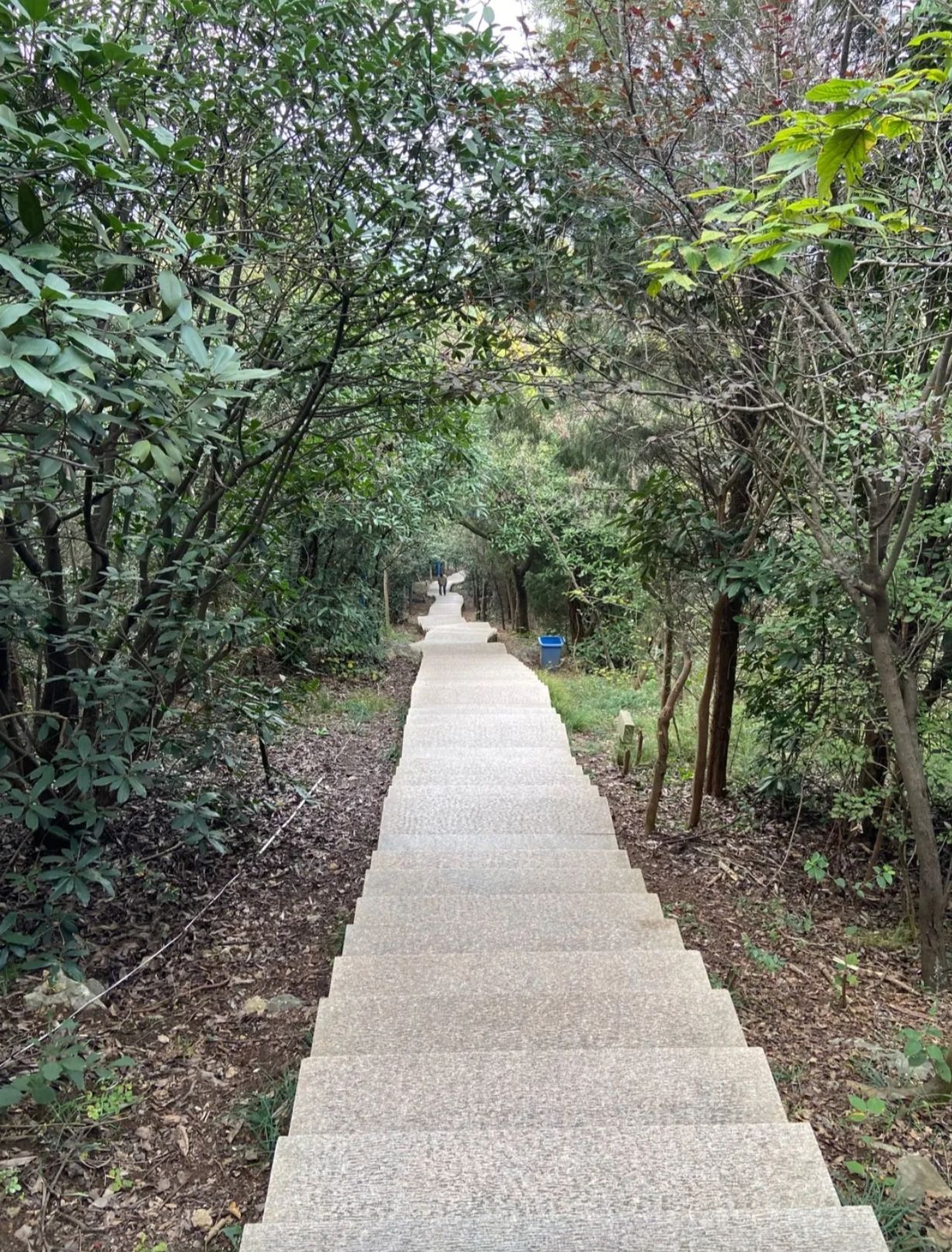 舜耕山风景区旅行图片 3