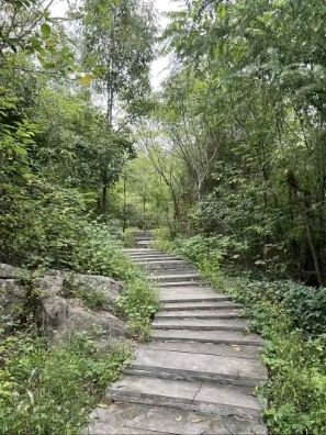 舜耕山风景区旅行图片 2