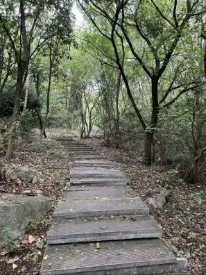 舜耕山风景区旅行图片 3