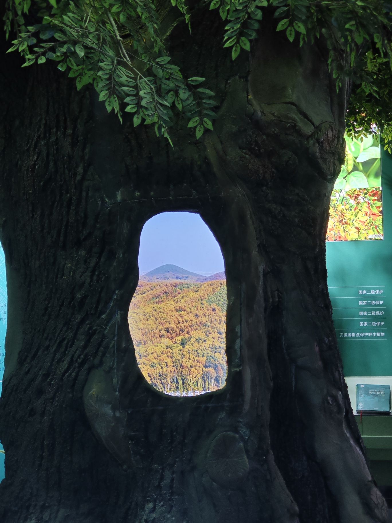 舜耕山风景区旅行图片 3